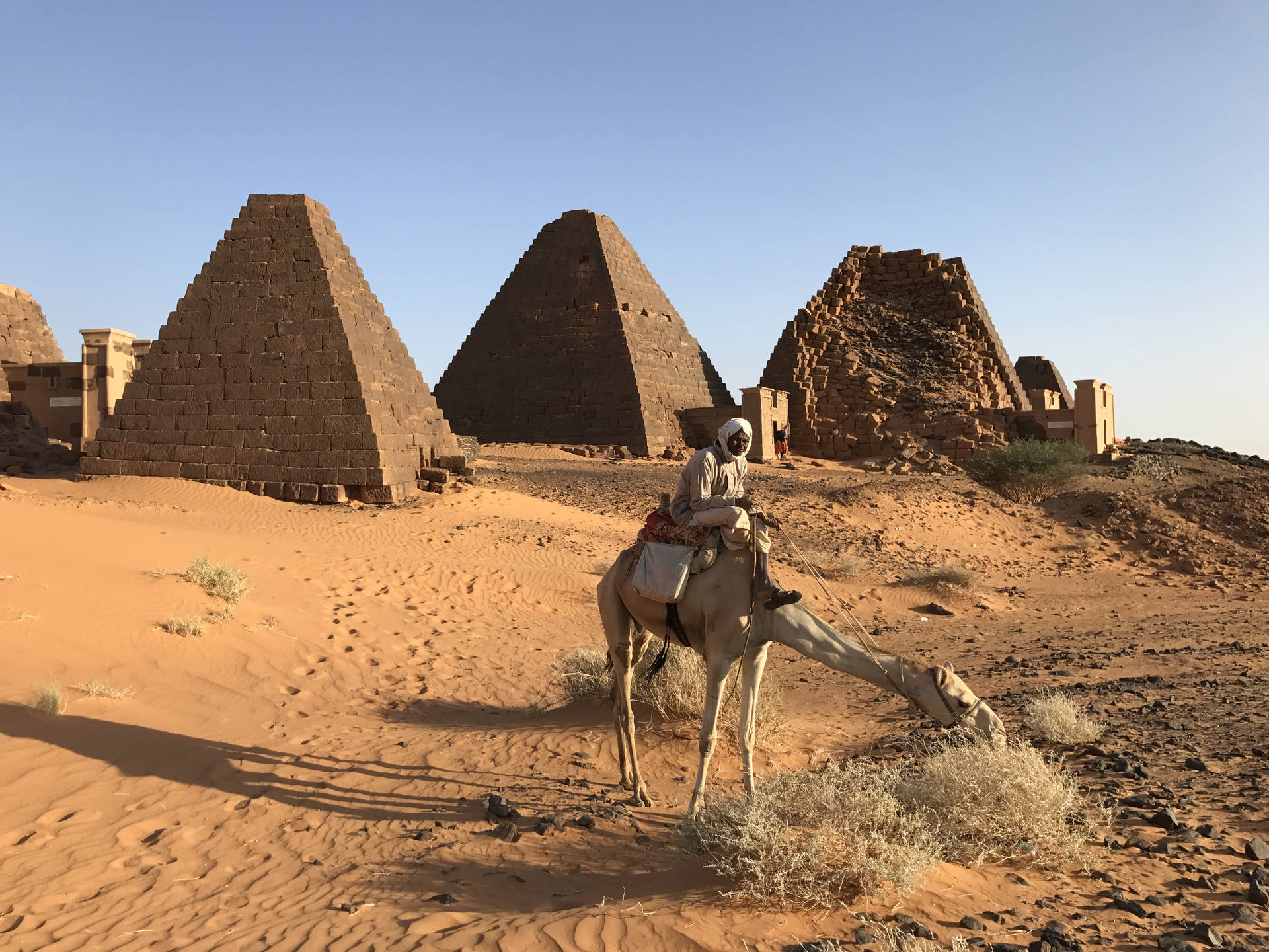 Sudanese Man Riding A Camel Background