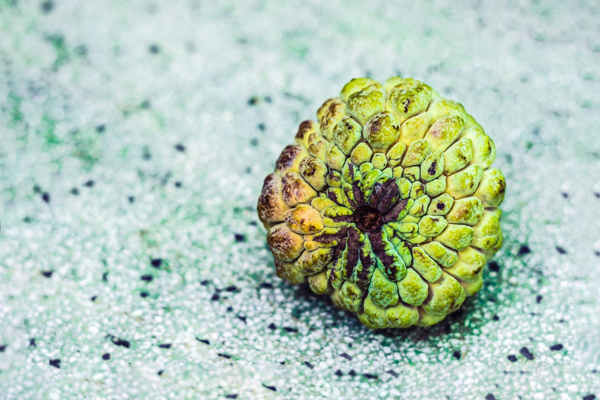 Sugar Apple Sharp Image Background