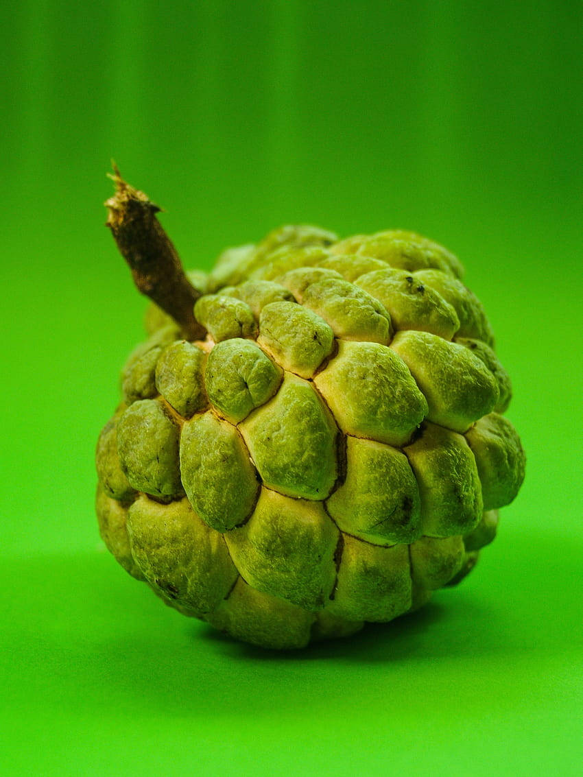 Sugar Apple Studio Photograph Background