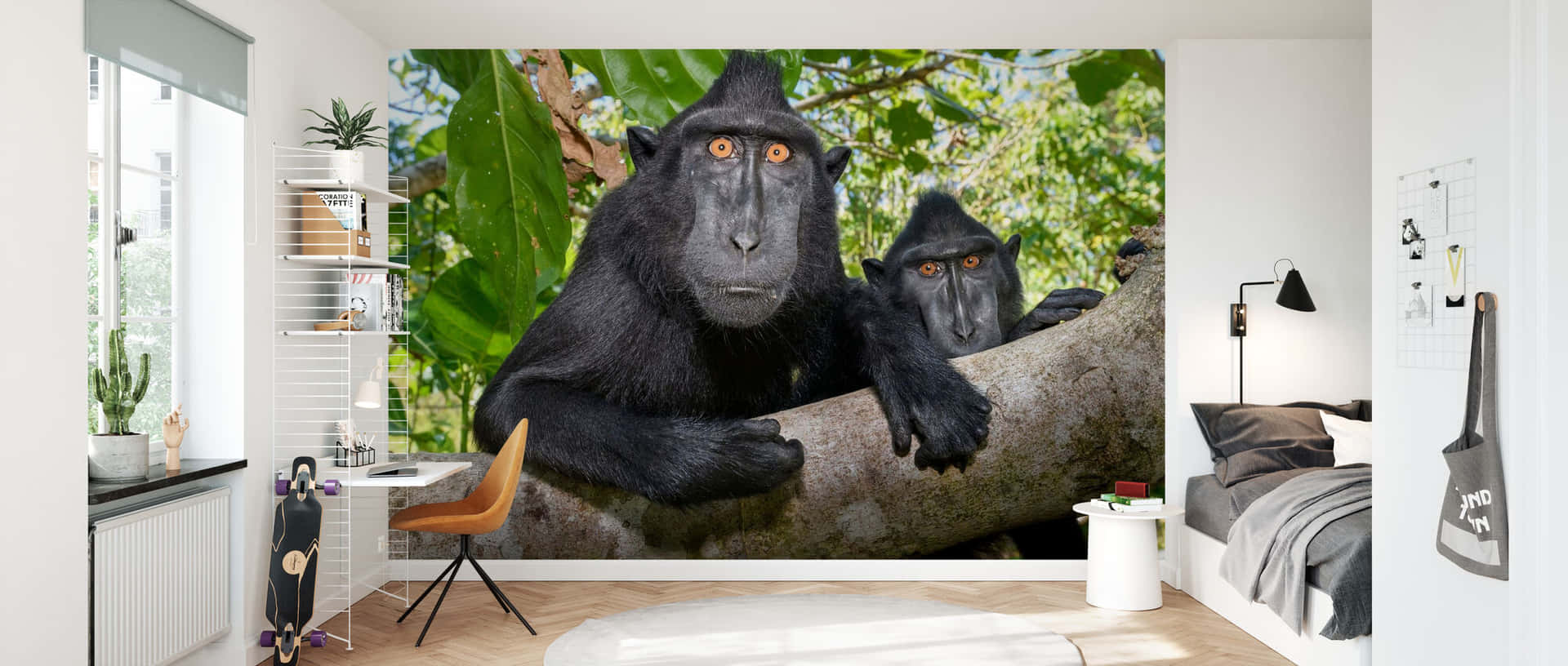Sulawesi Monkey Wall Decor Background