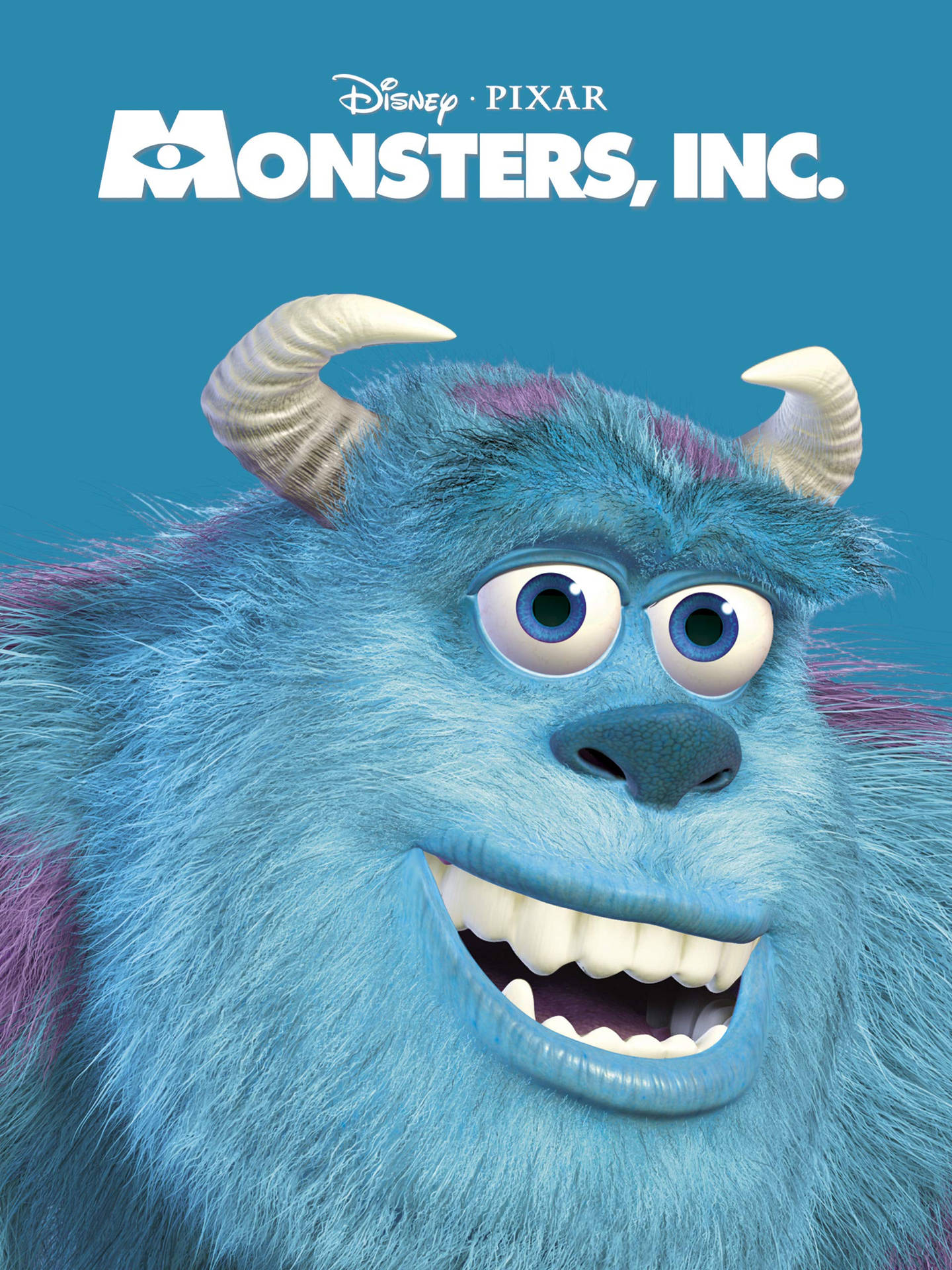 Sulley From Pixar's 