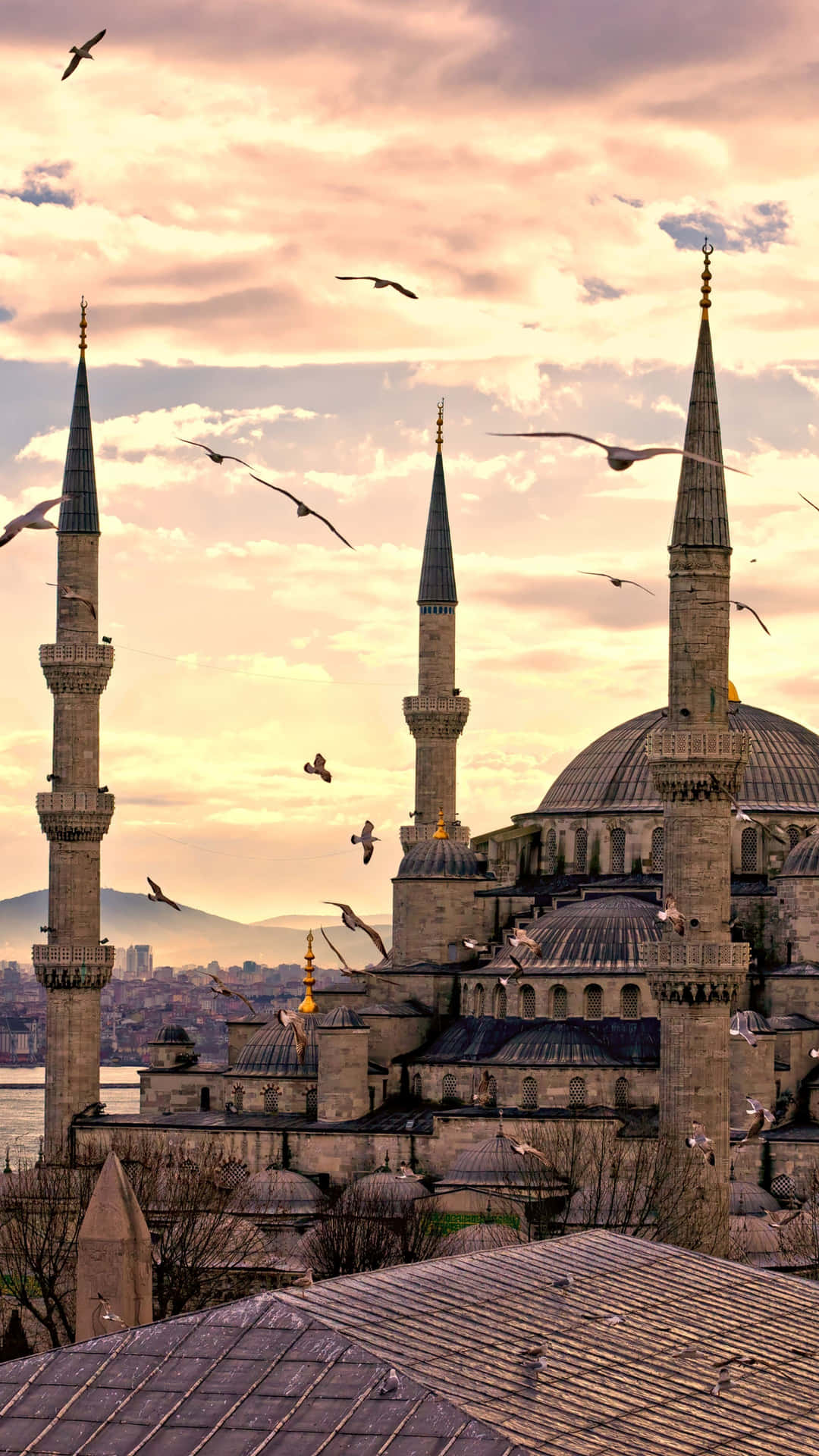 Sultan Ahmed Mosque Birds Flying Background