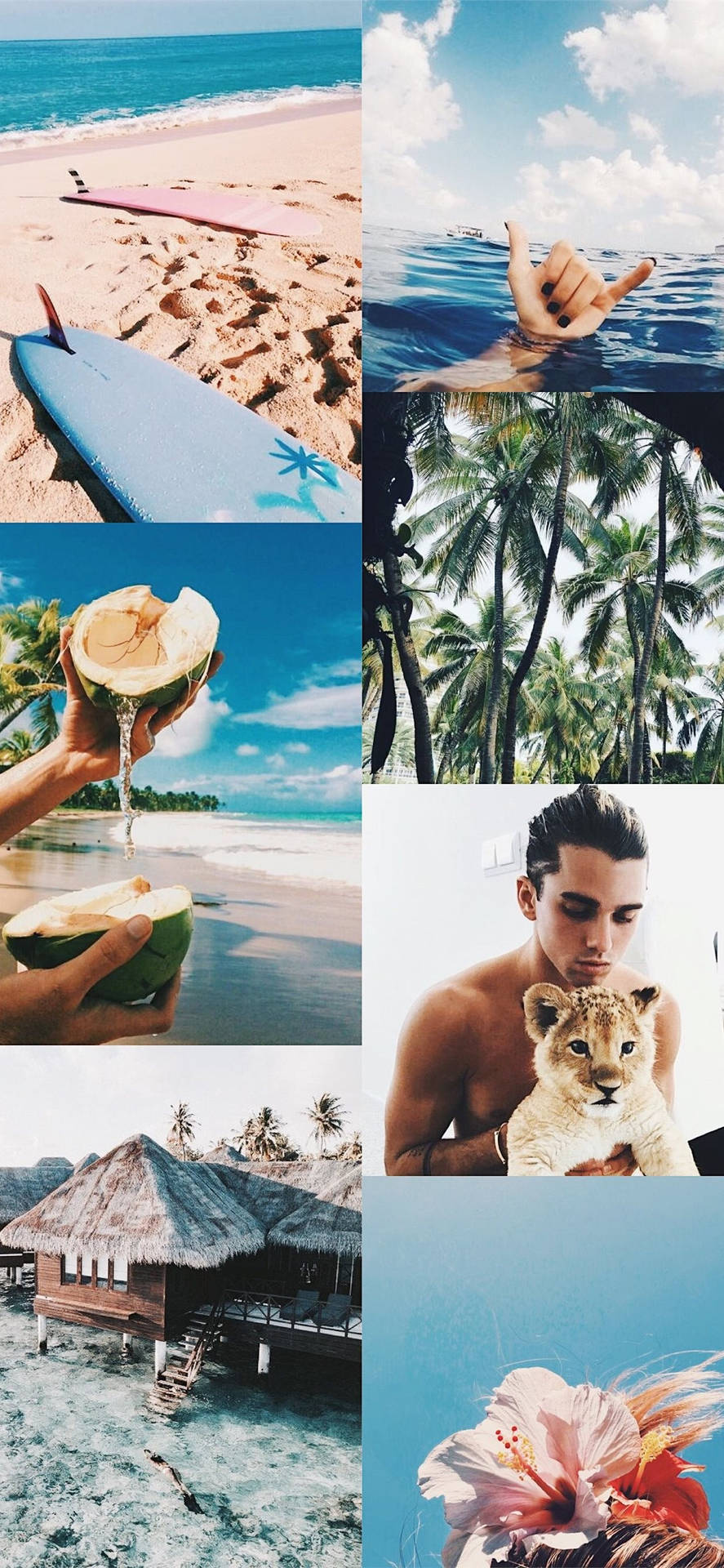 Summer Aesthetic Beach Vibes Collage