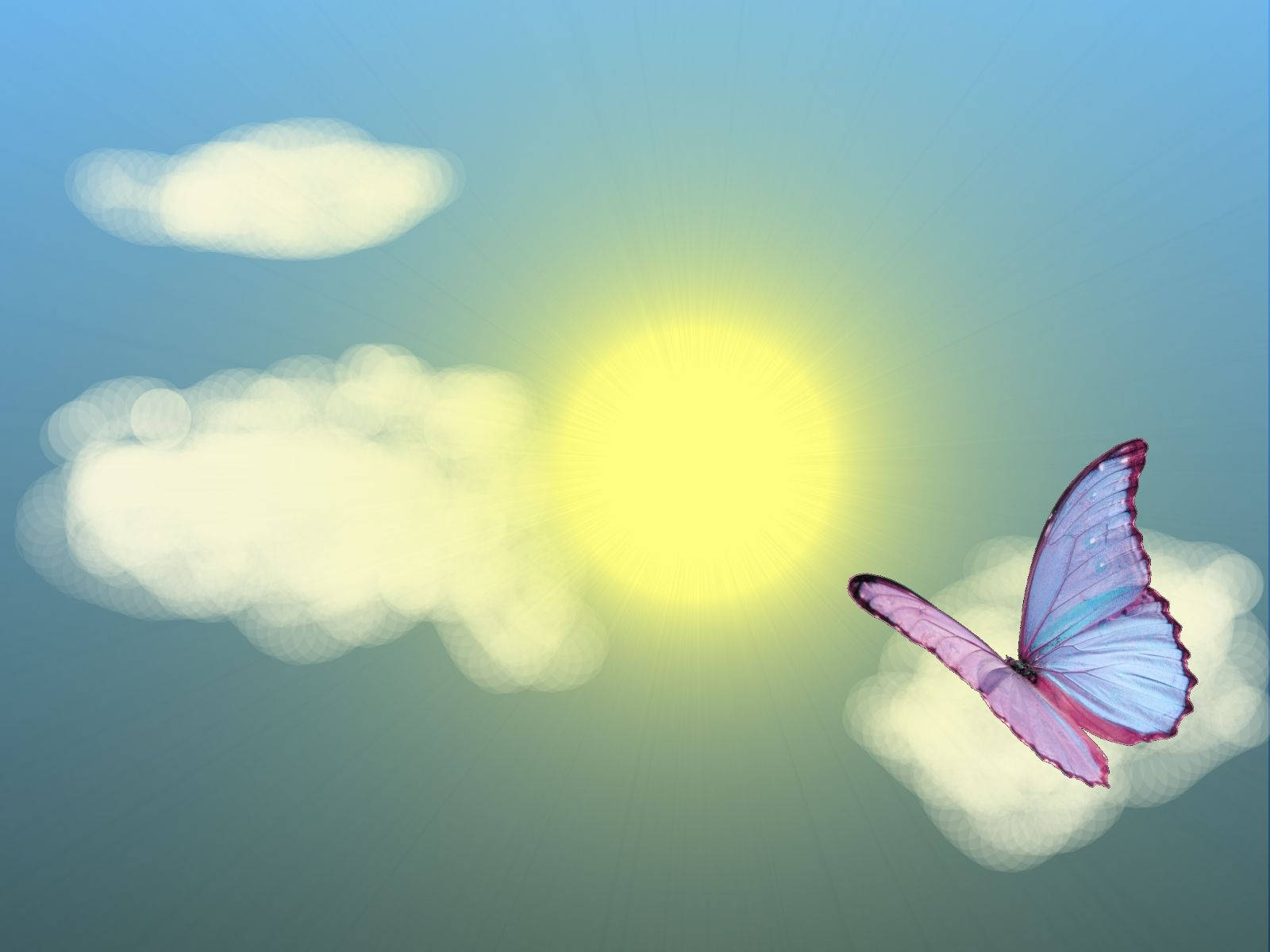 Summer Aesthetic Floating Butterfly Background