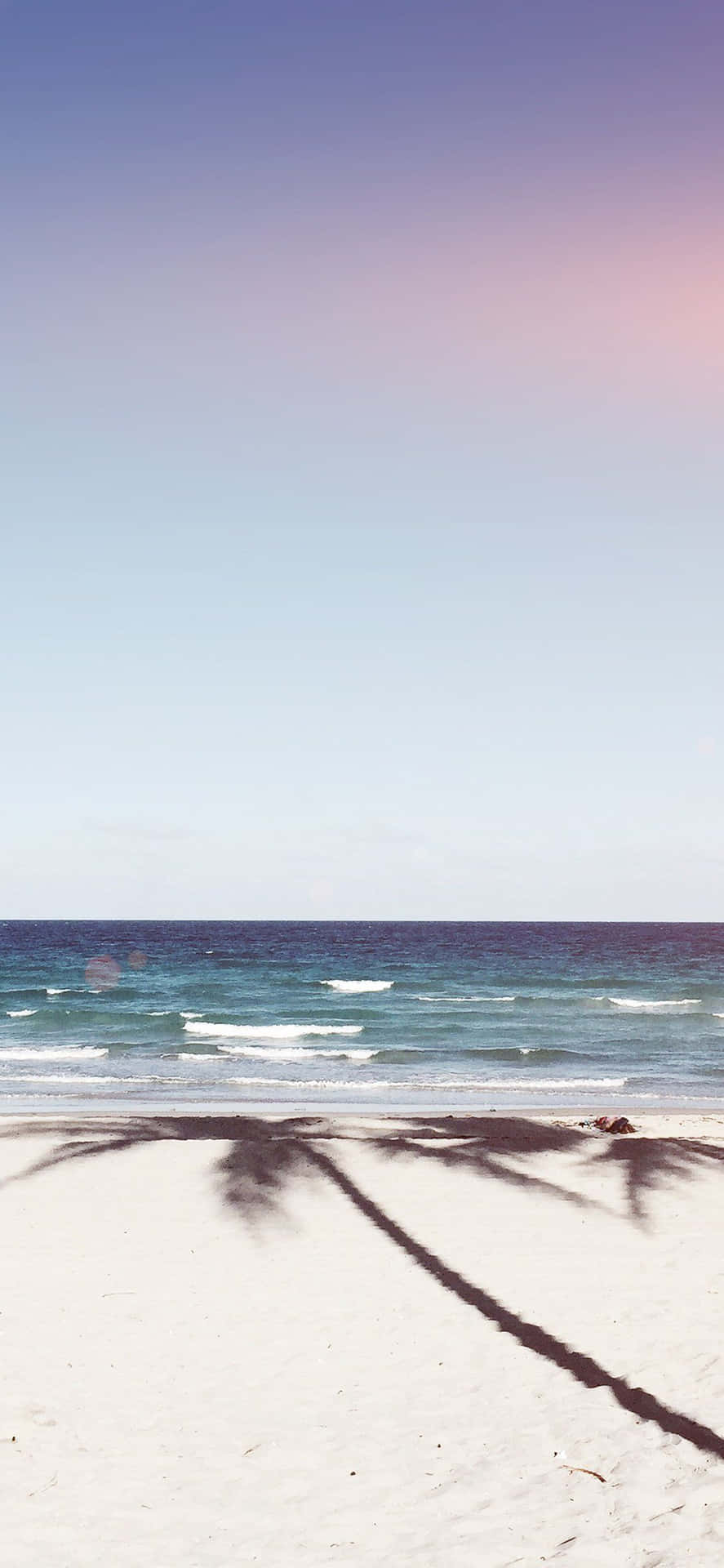 Summer Beach Iphone Palm Tree Shadow Background