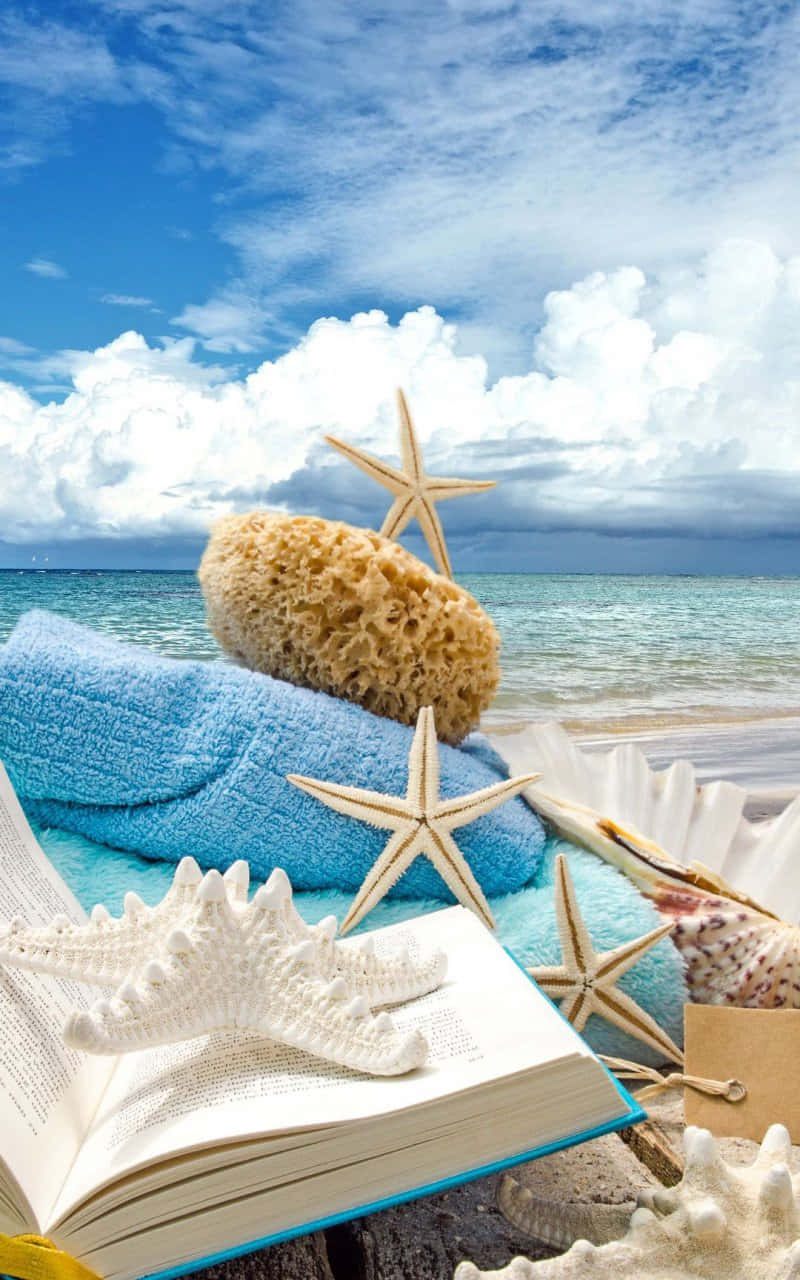 Summer Beach Iphone Seashells On Book Background