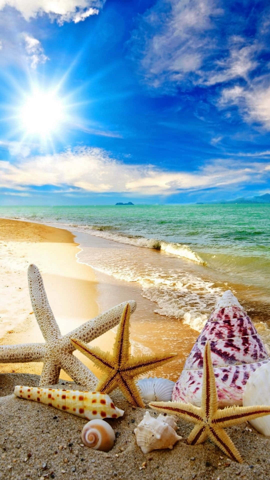 Summer Beach Iphone Starfish And Seashells Background