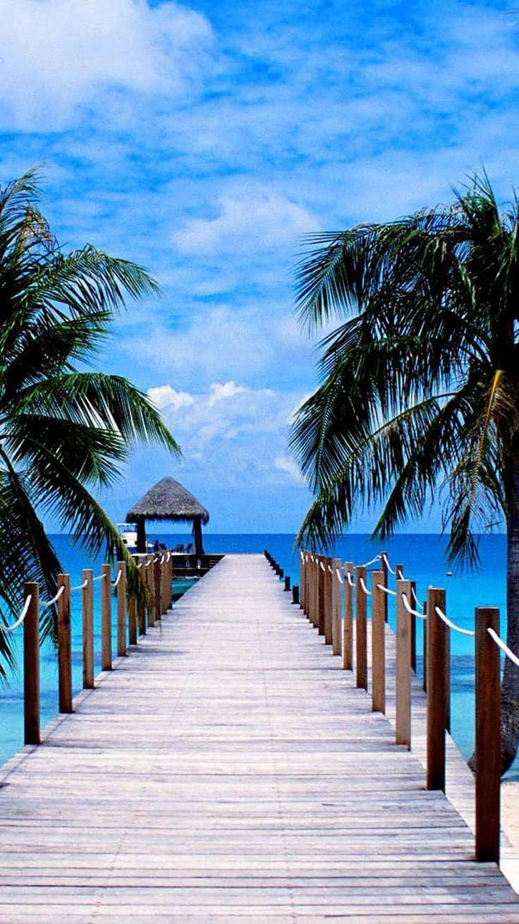 Summer Beach Iphone Wooden Pier Background