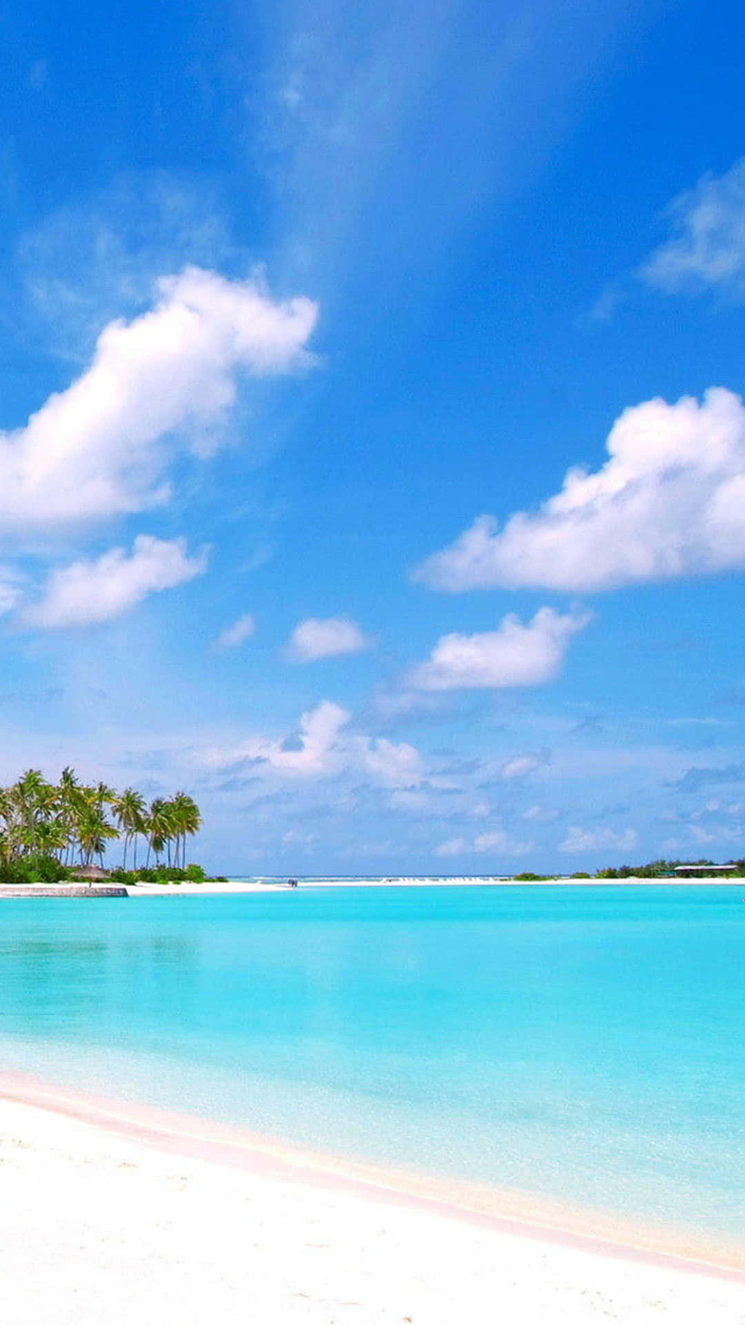 Summer Beach Nature Android Hd Background