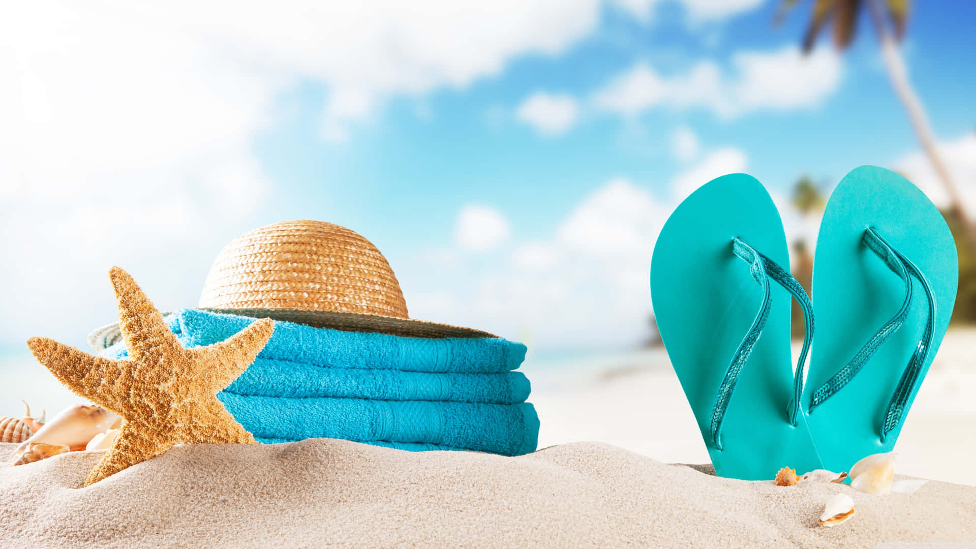 Summer_ Beach_ Vacation_ Essentials_4 K_ Ultra_ Wide.jpg Background