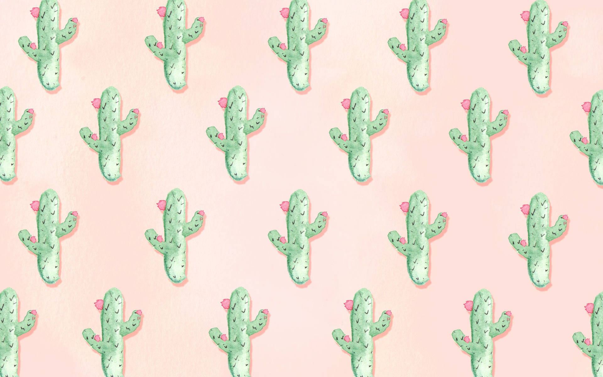 Summer Cute Cactus Laptop Background