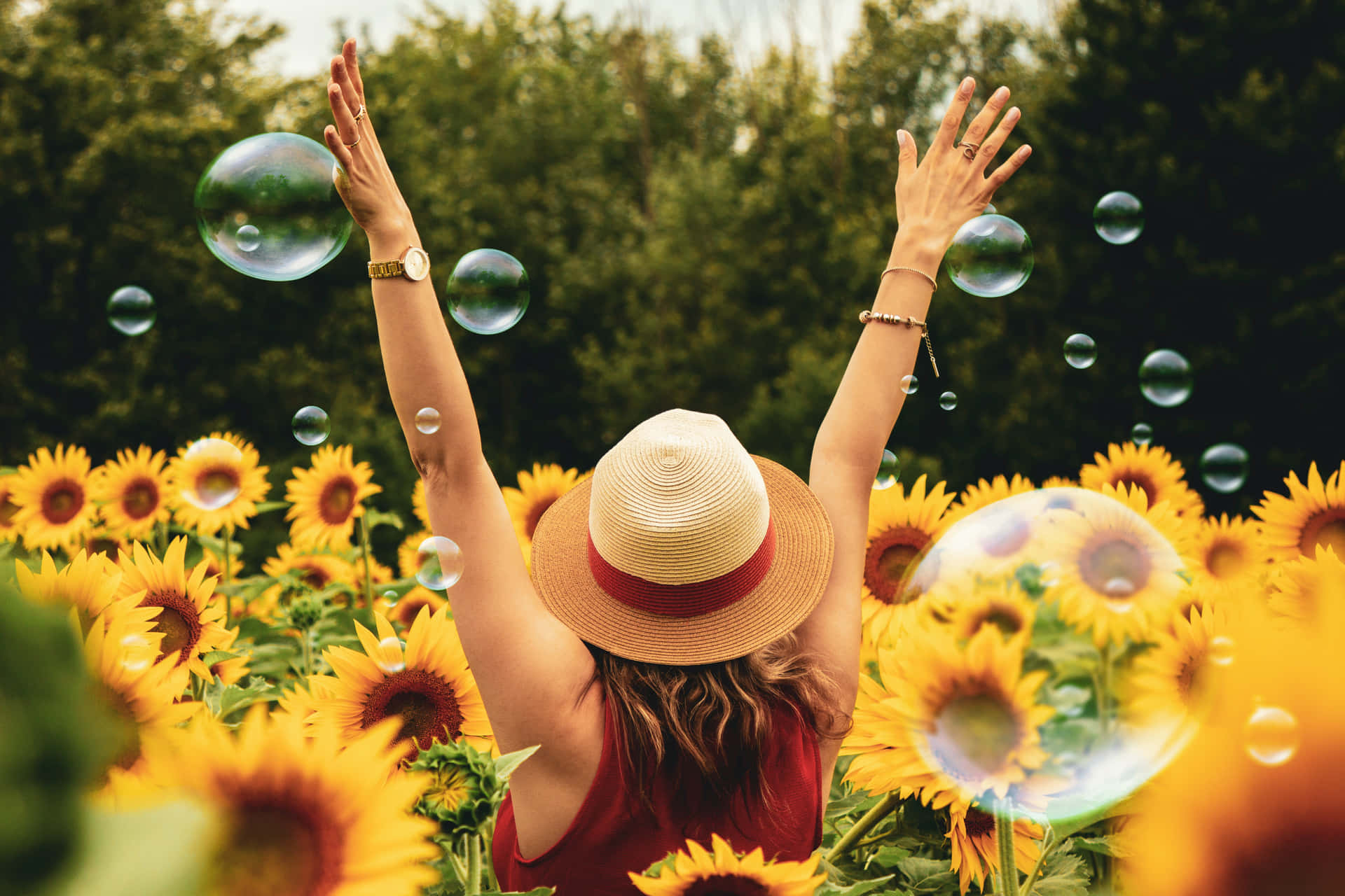 Summer Fun At A Sunflower Field