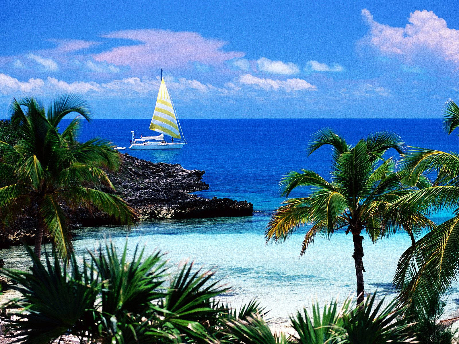 Summer In Tuvalu Background