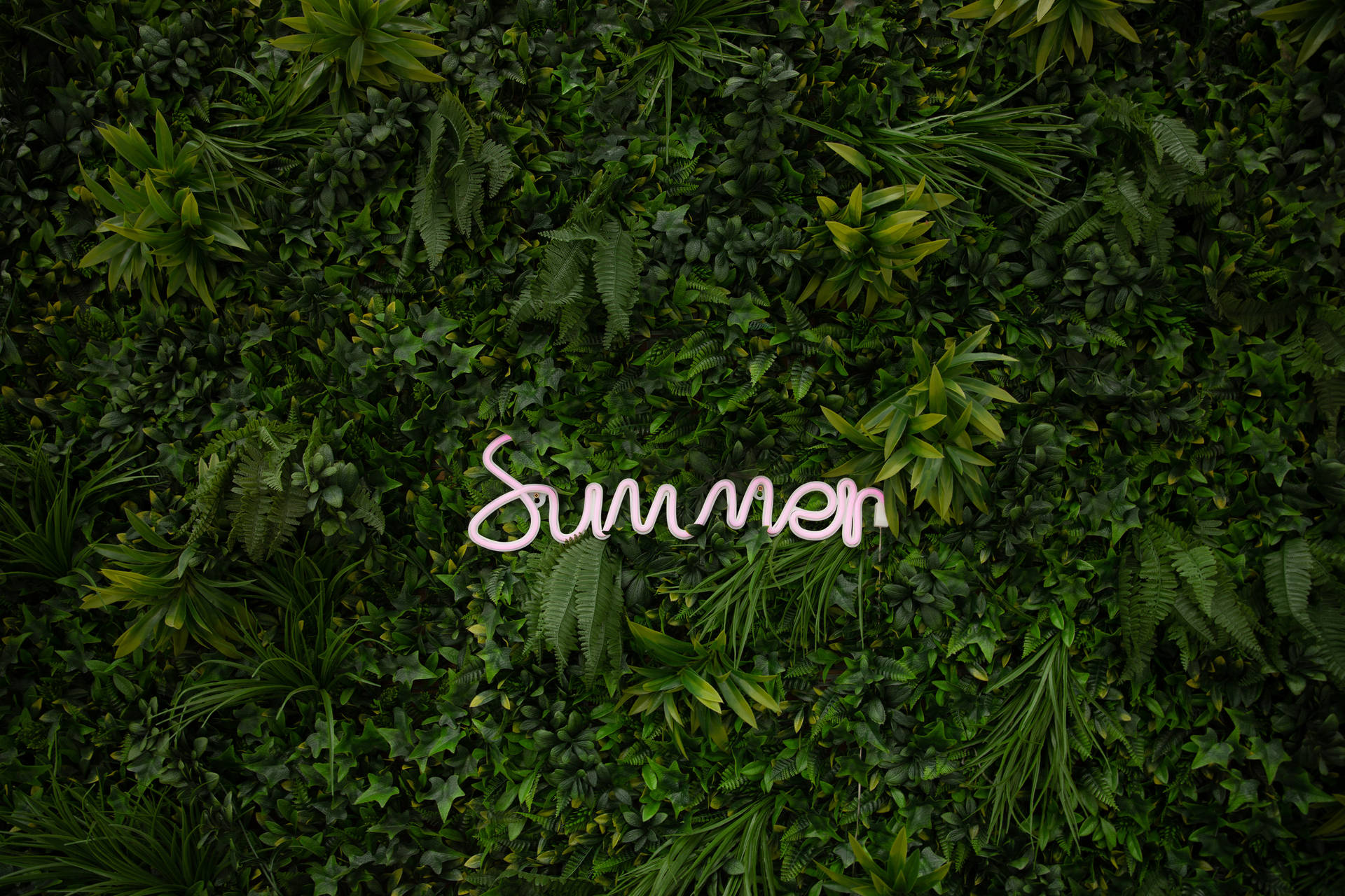 Summer Inscription Green Background
