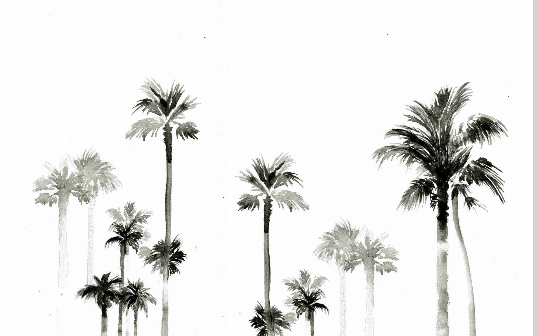 Summer Minimalist Palm Tree Laptop Background