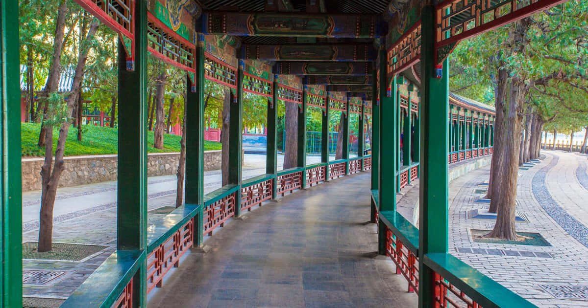 Summer Palace Curve Pathway Background