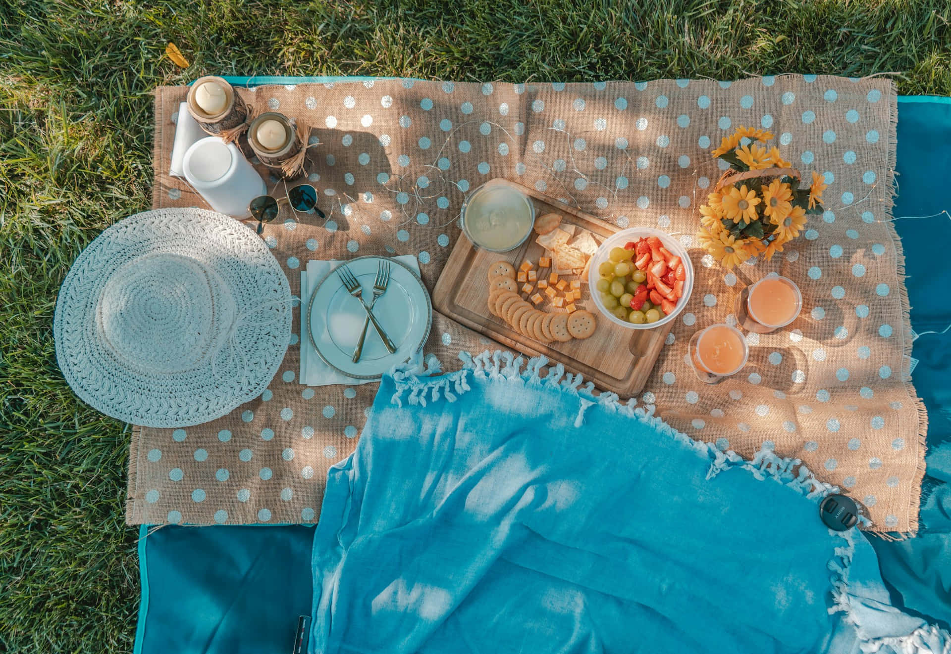 Summer Picnic Setupon Grass Background