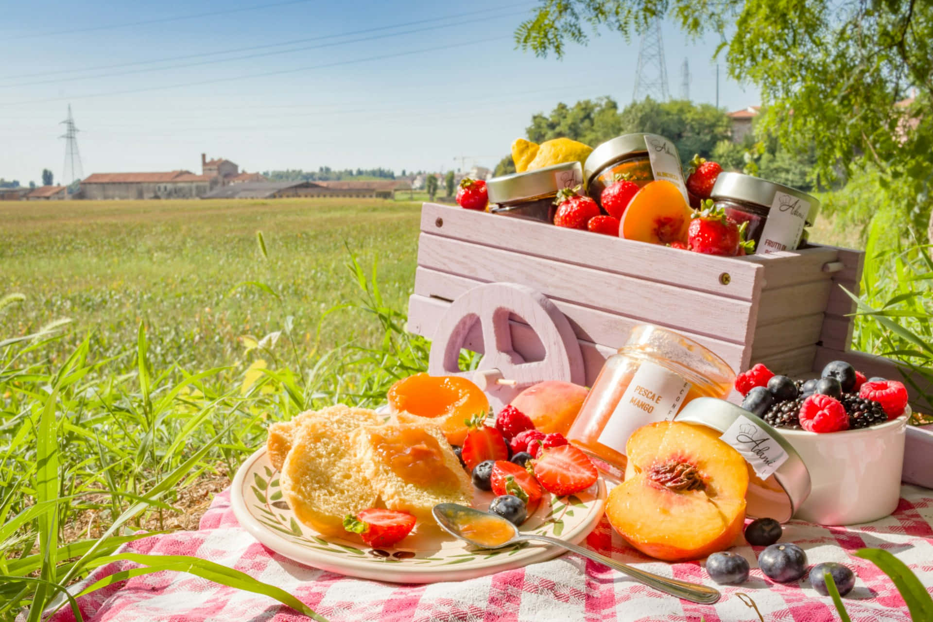 Summer Picnic Spread.jpg Background