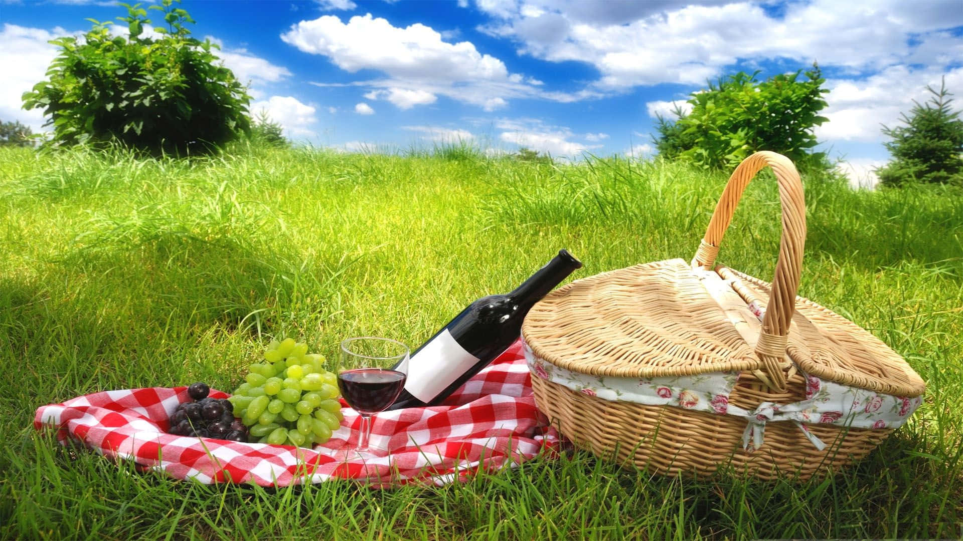 Summer Picnic With Wine