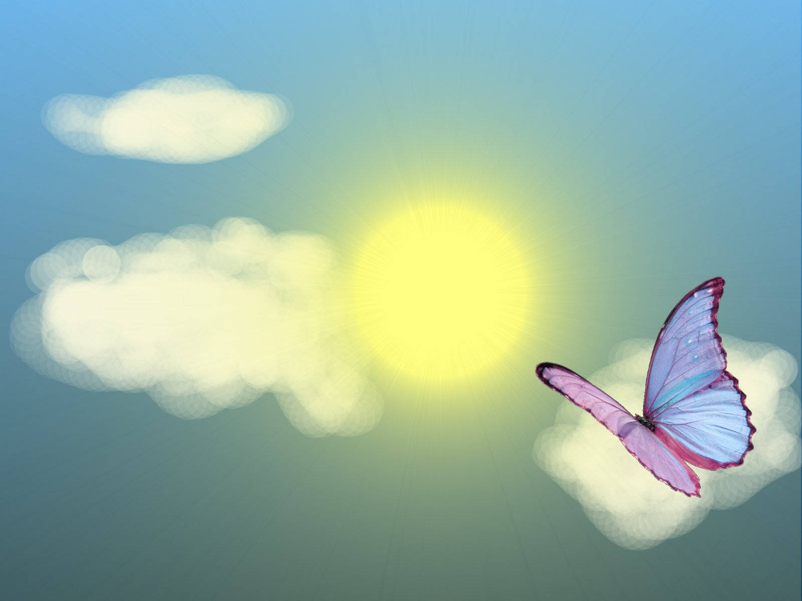 Summer Season Butterfly Graphic