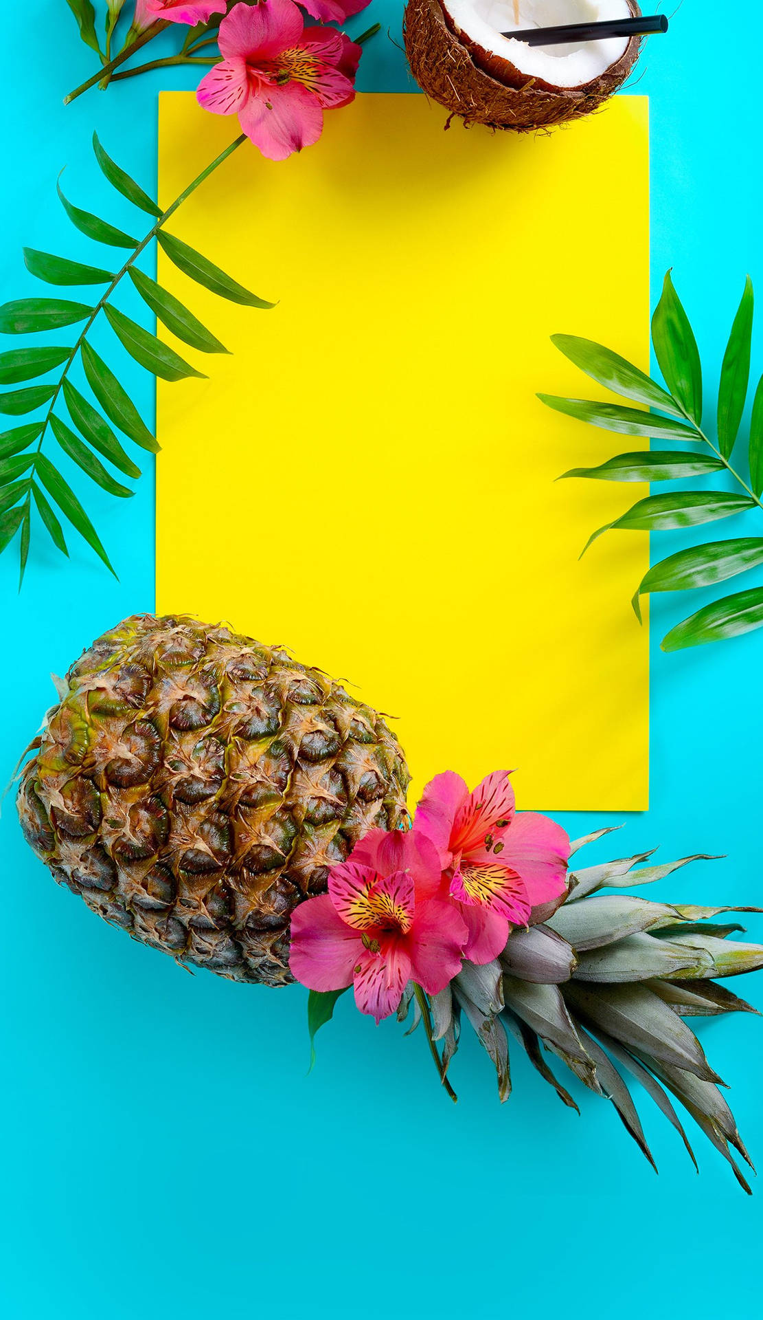 Summer Season Pineapple And Coconut Background