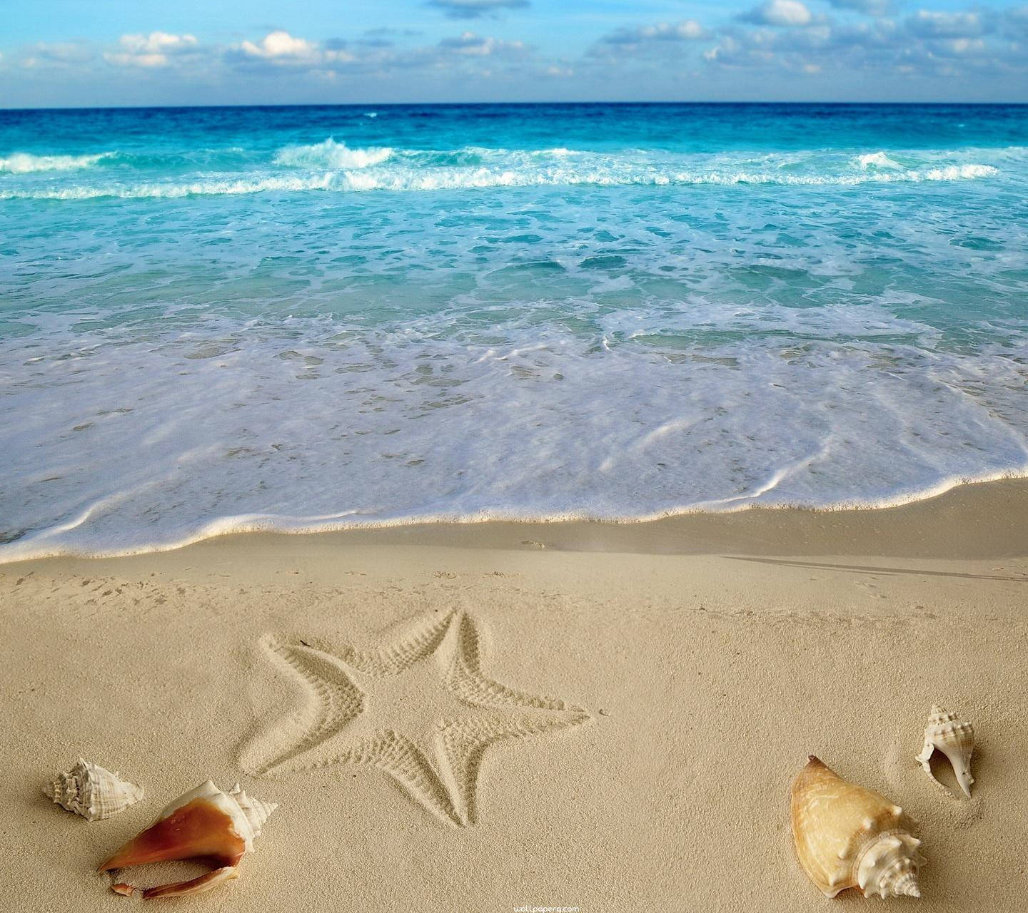 Summer Star On Sand Laptop Background