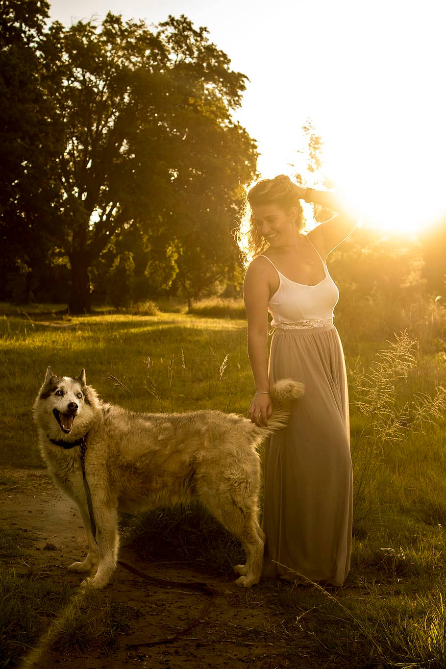 Summer Sunset Dog And Girl Background