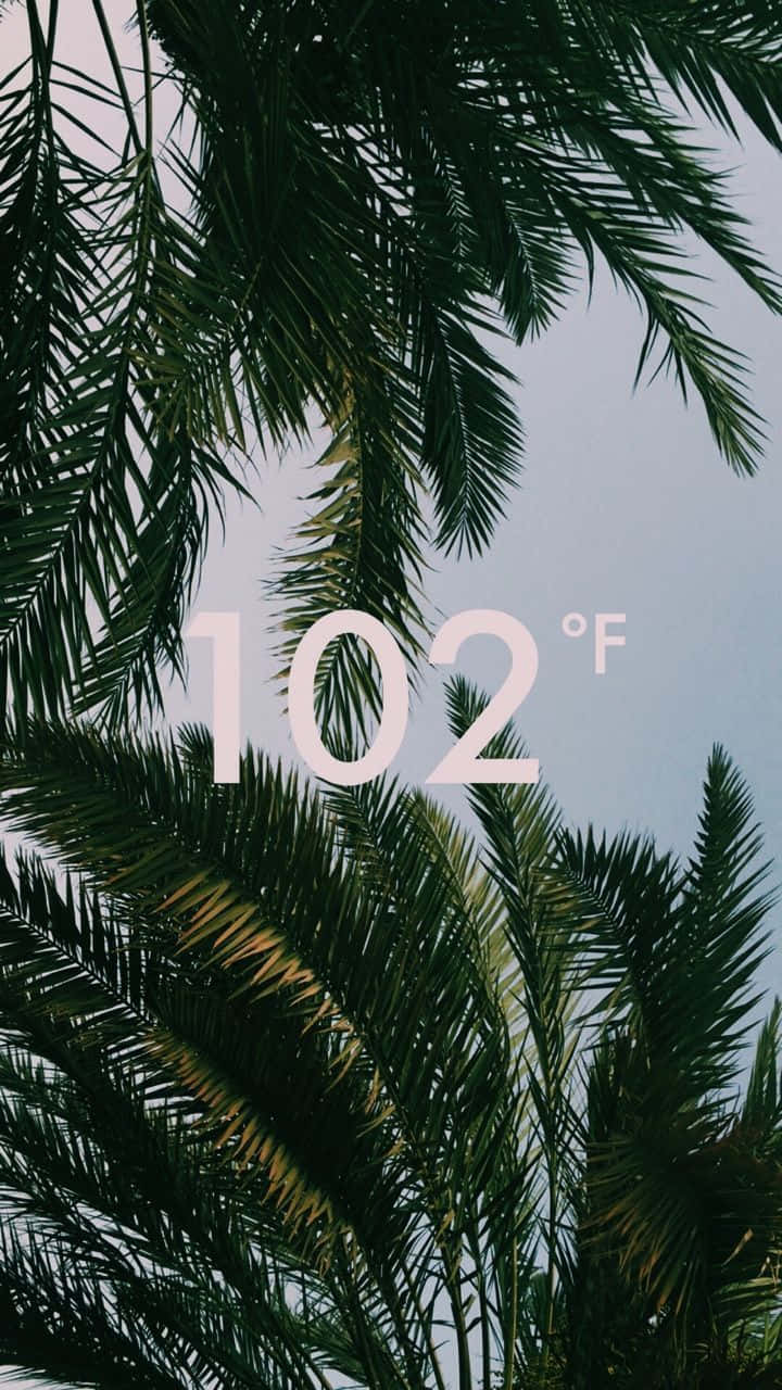 Summer Time Iphone With Temperature Background