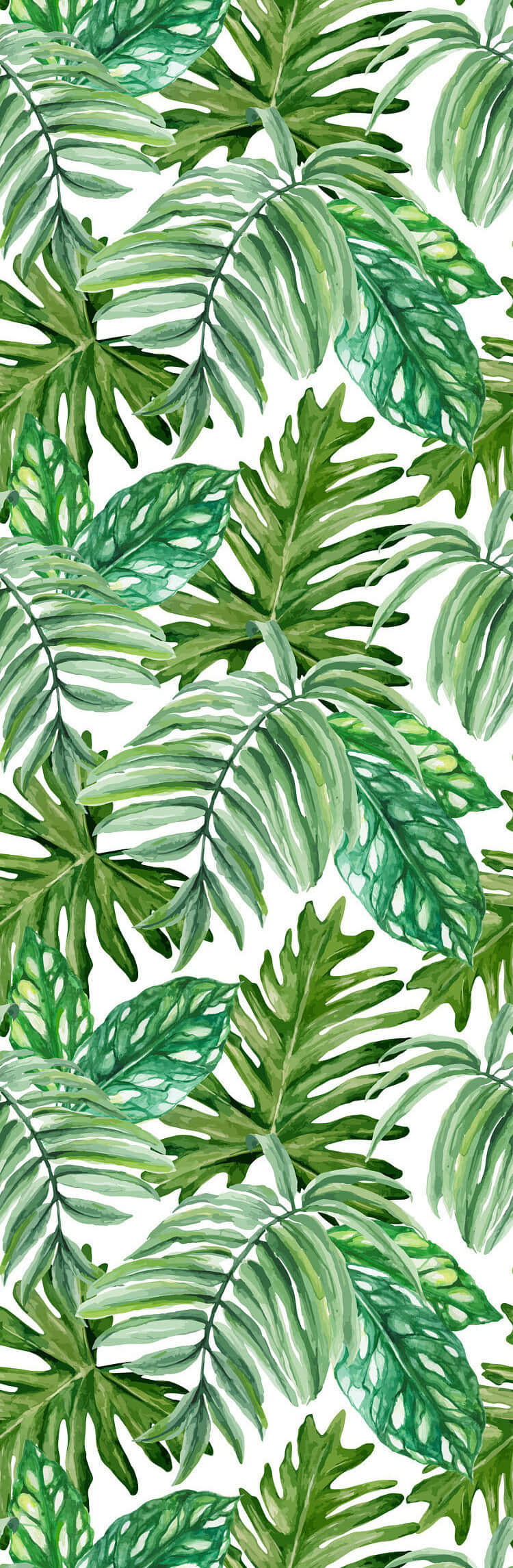 Summer Vibe Monstera Leaves Digital Art Background