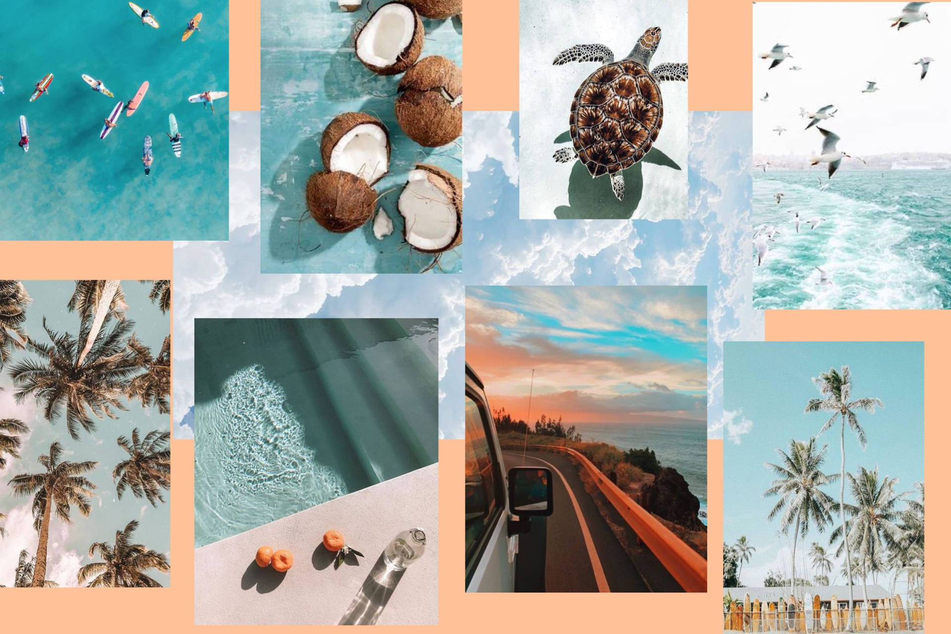 Summer Vibes Collage