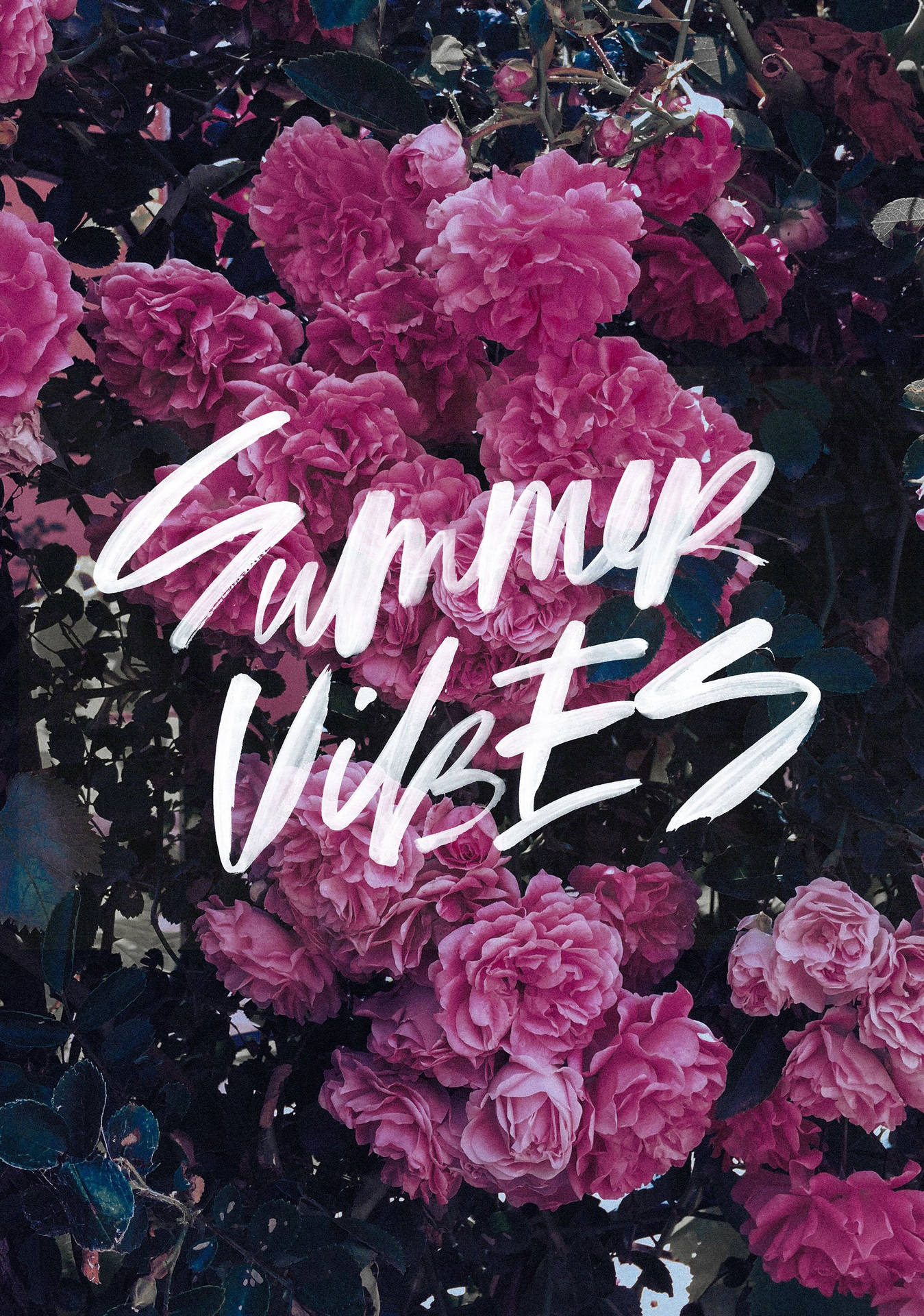 Summer Vibes Flowers Background