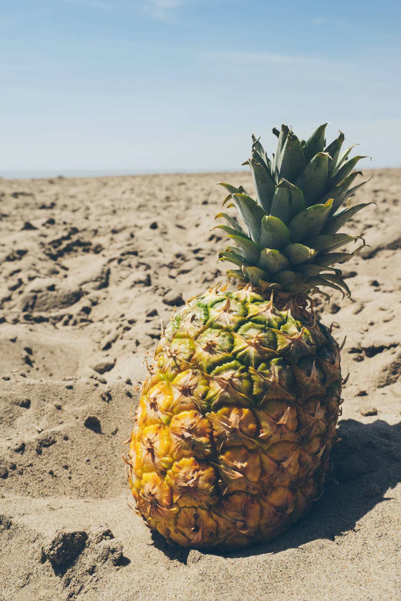 Summer Vibes Pineapple