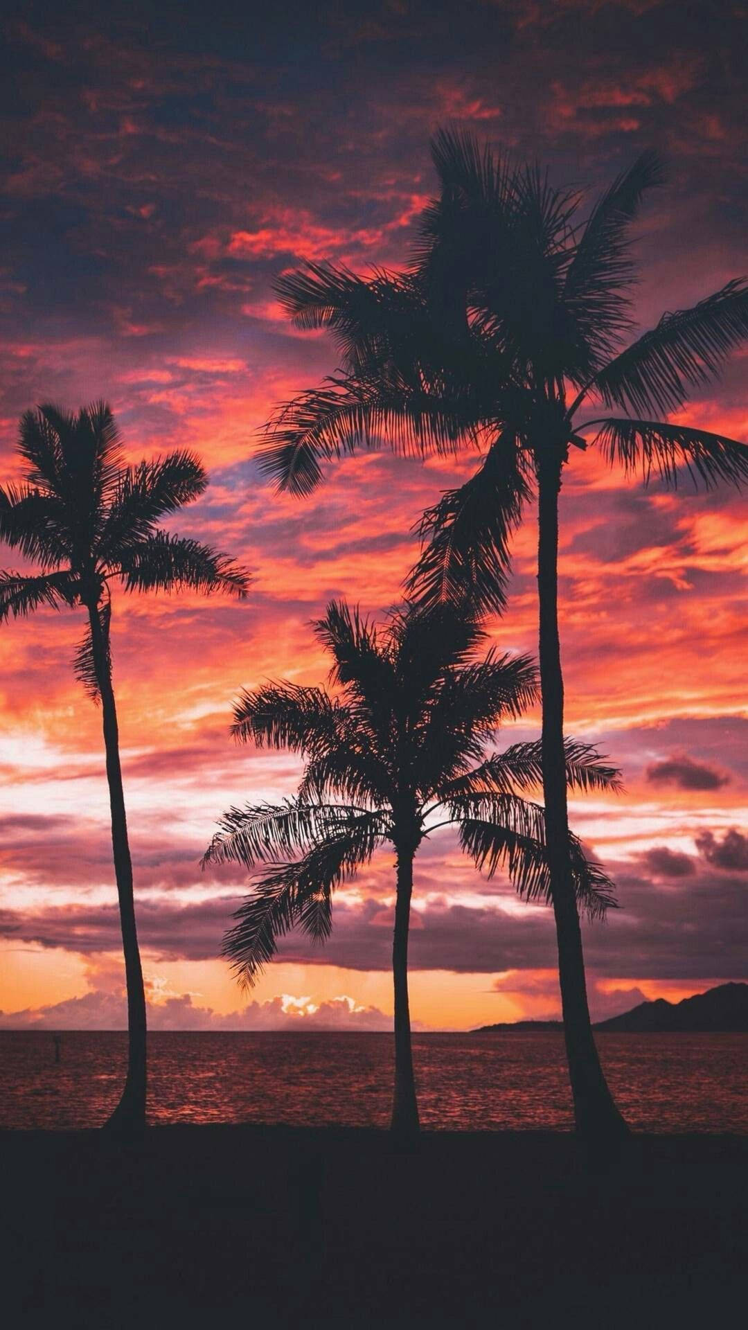 Summer Vibes Red Sky Background