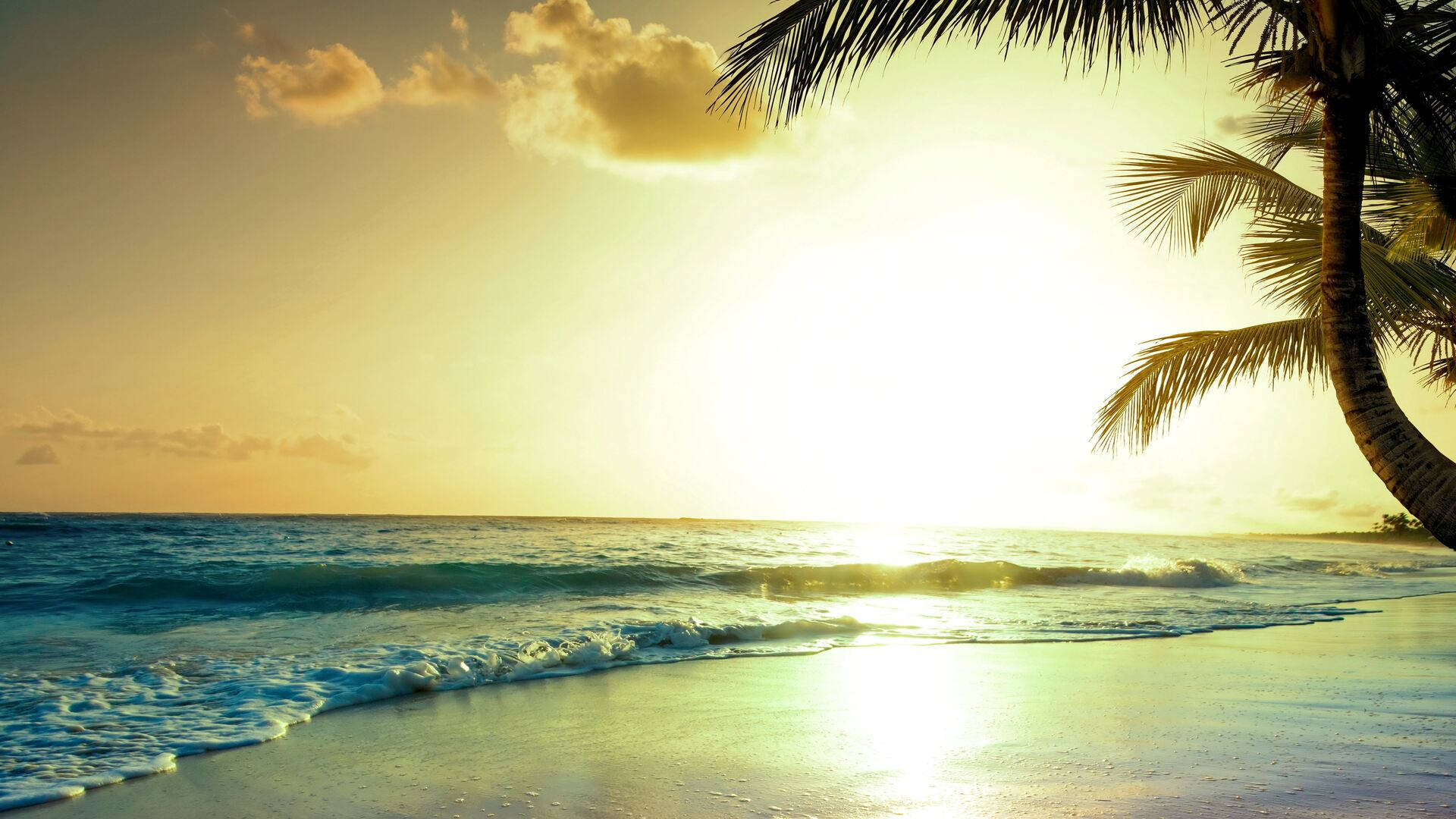 Summer Vibes Tropical Sunrise Background