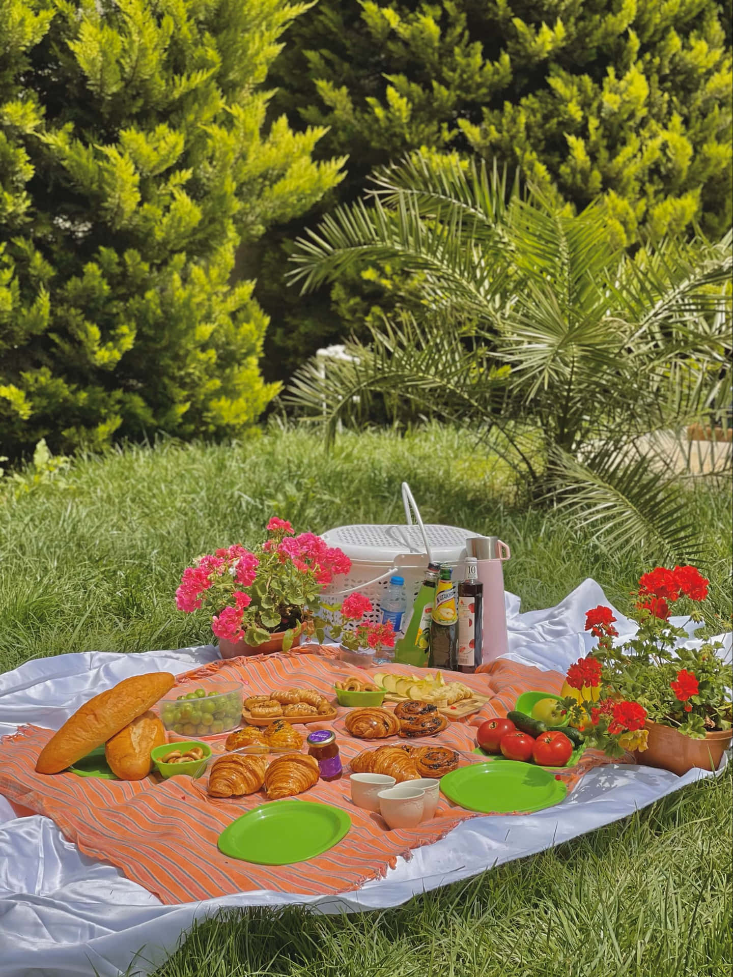 Summertime Picnic Spread.jpg