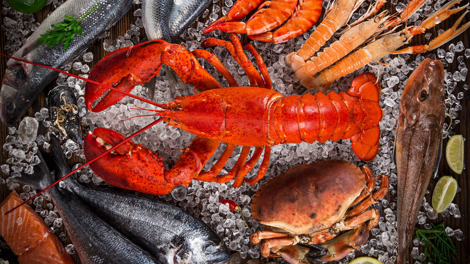 Sumptuous Lobster And Seafood Background
