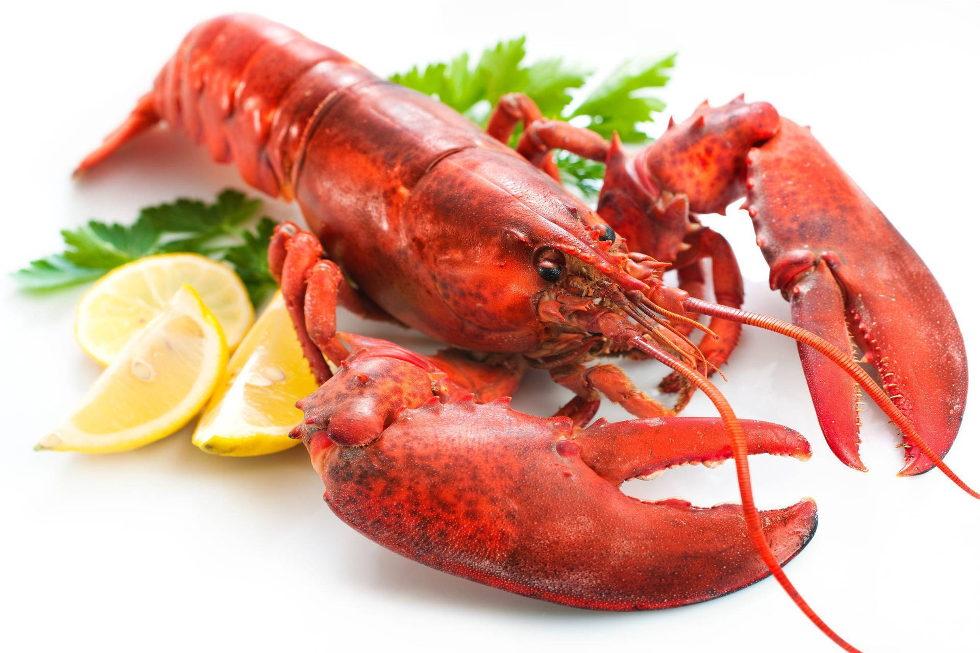 Sumptuous Lobster With Lemon Wedges Background
