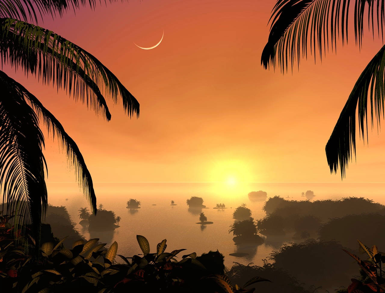 Sun And Moon With Palm Trees Background