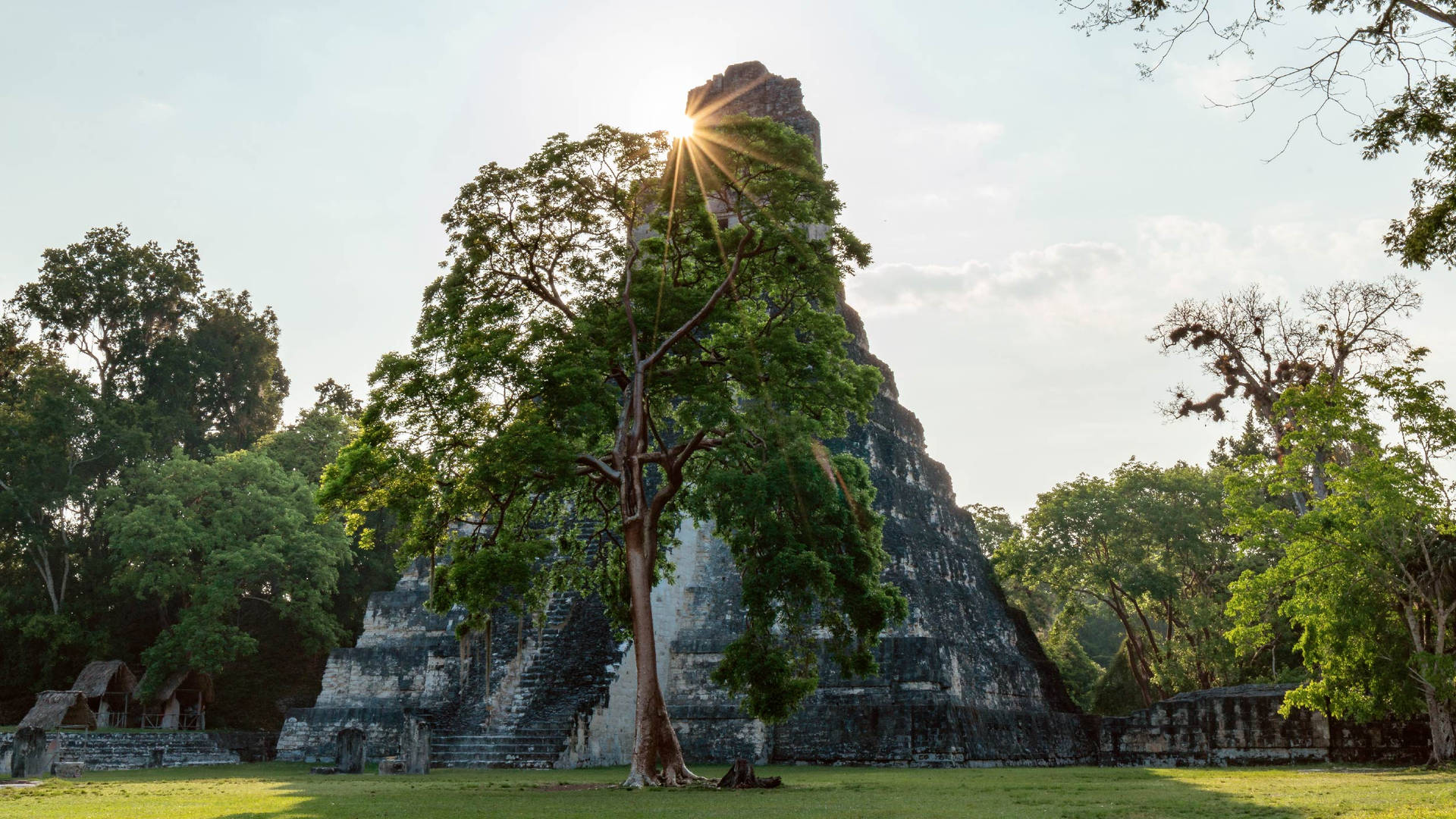 Sun Behind Tikal Pyramid Background