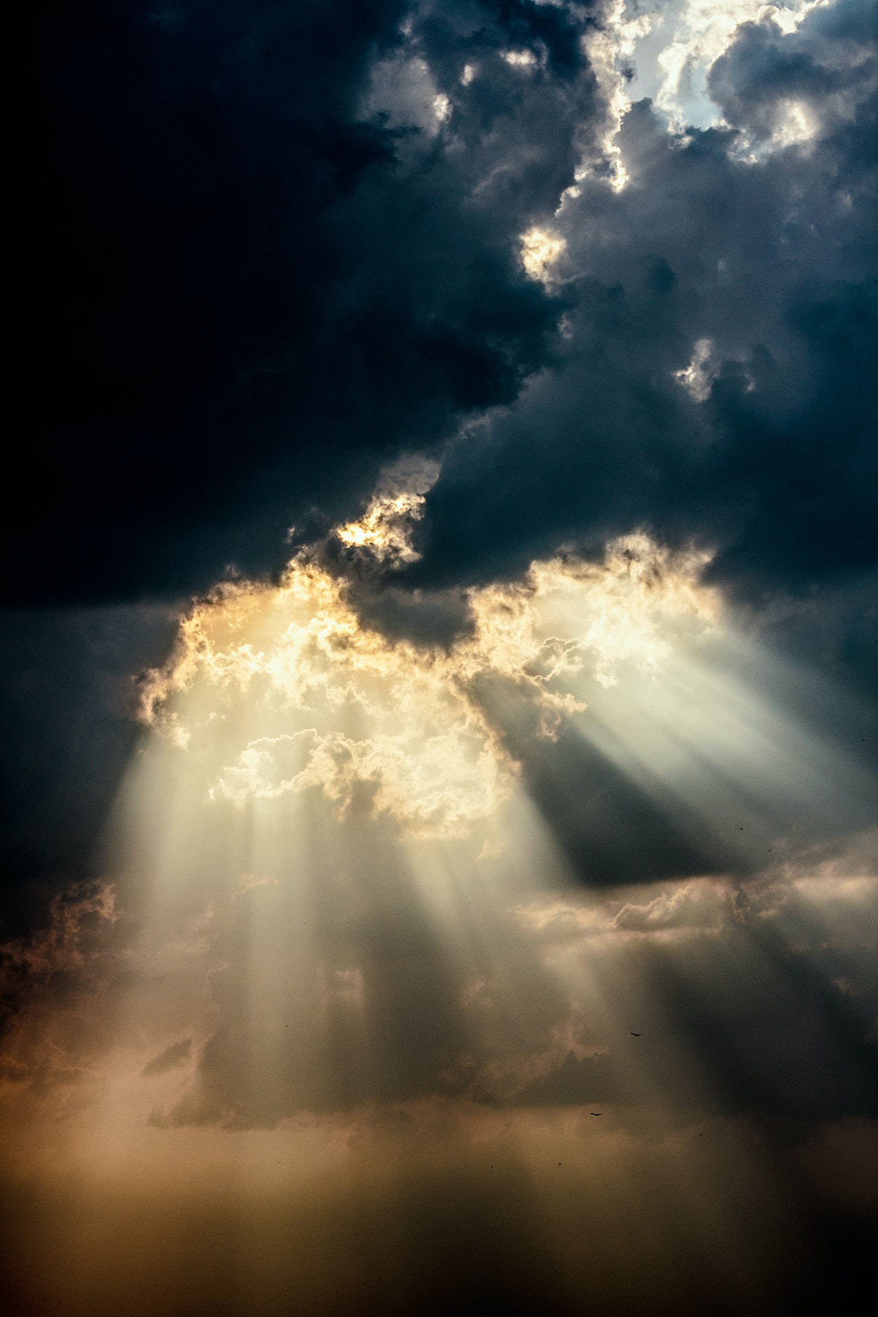 Sun Rays In Sky Background Background