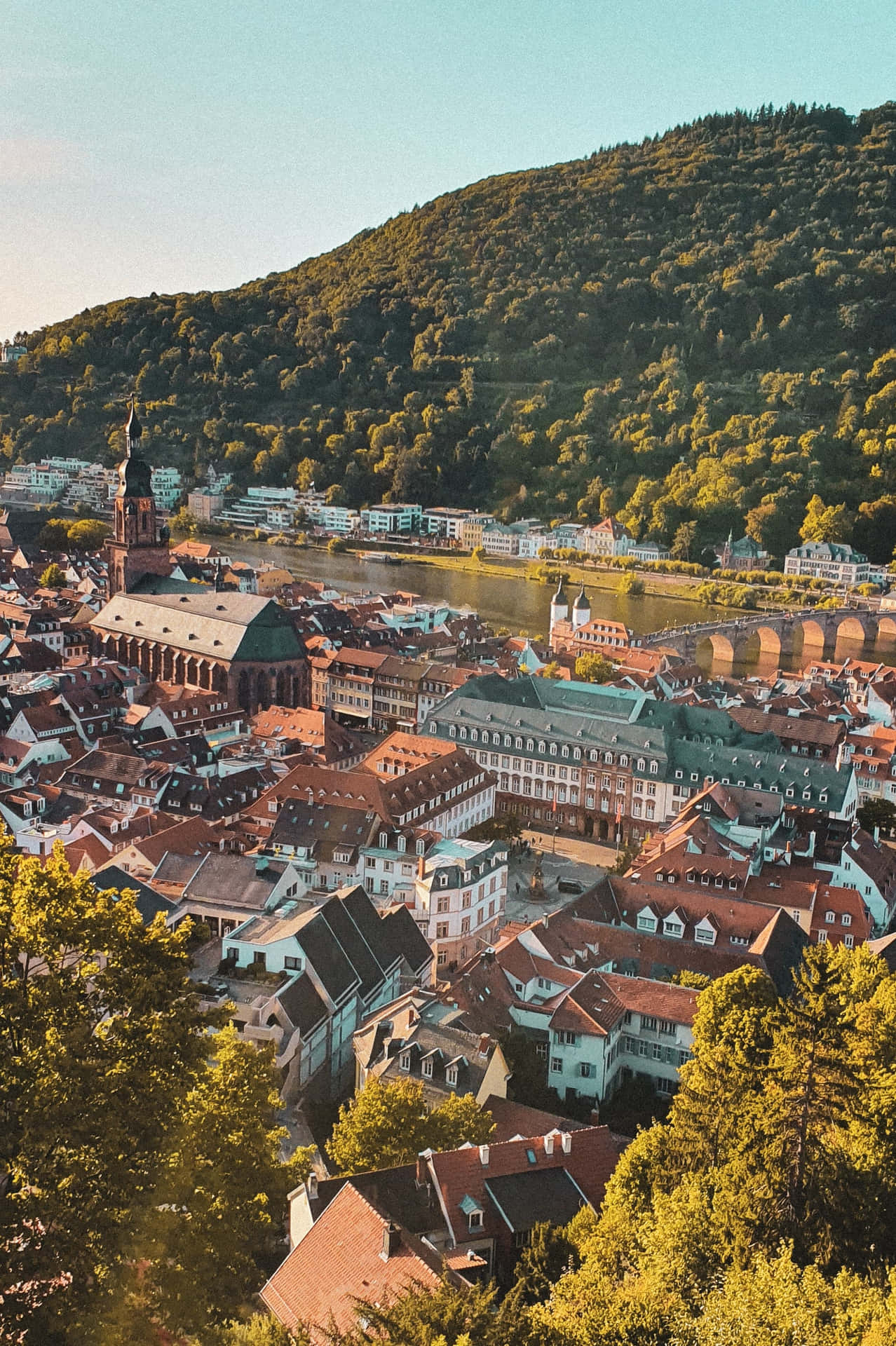 Sun Rays On Heidelberg Castle