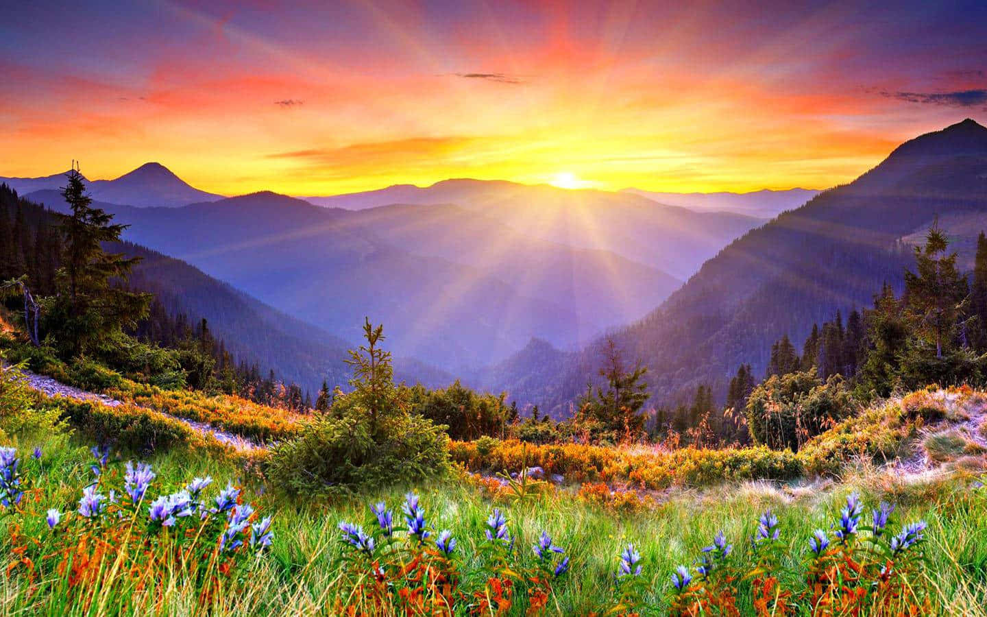 Sun Rise Above The Mountain Background