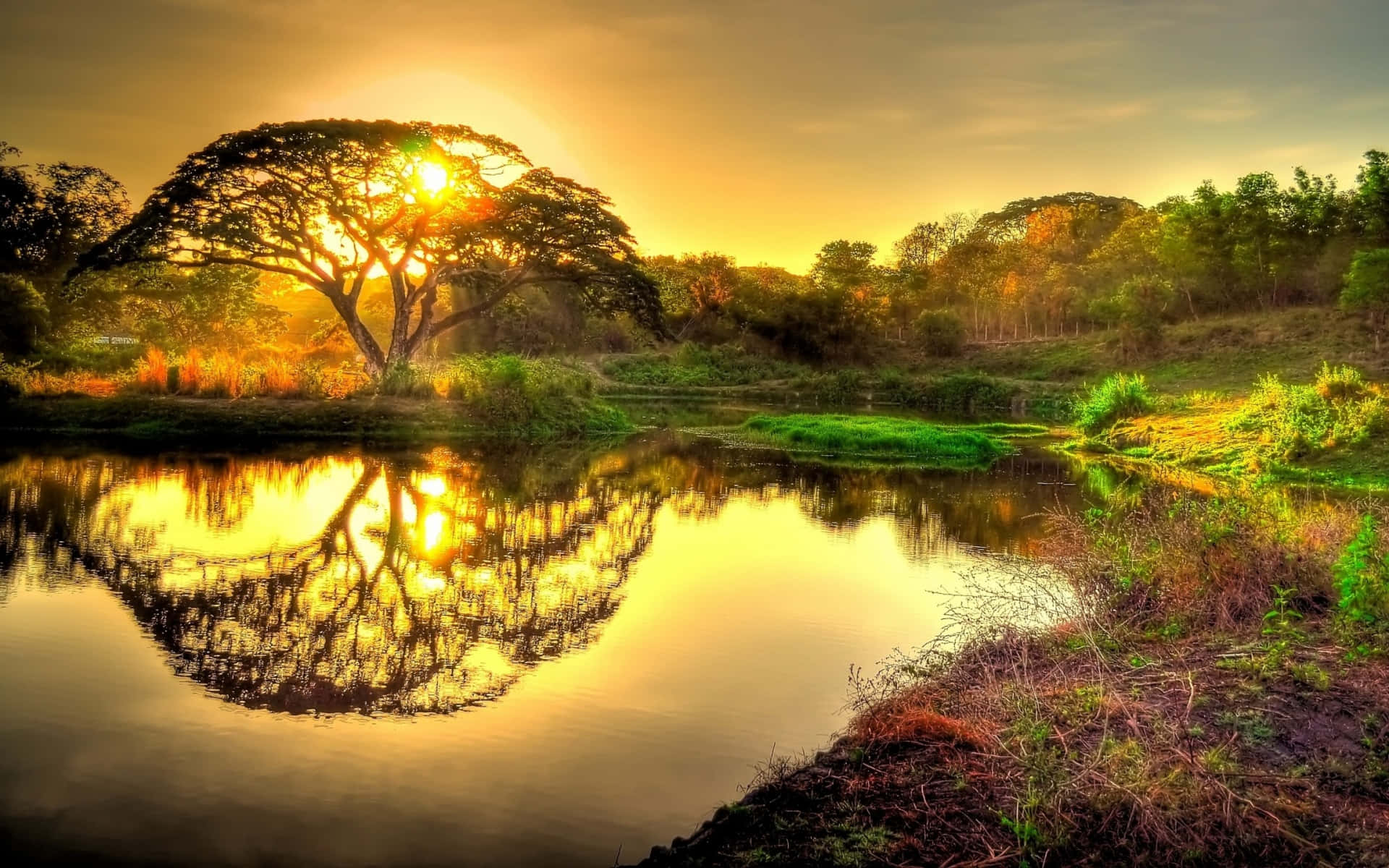 Sun Rise Over Riverside Background