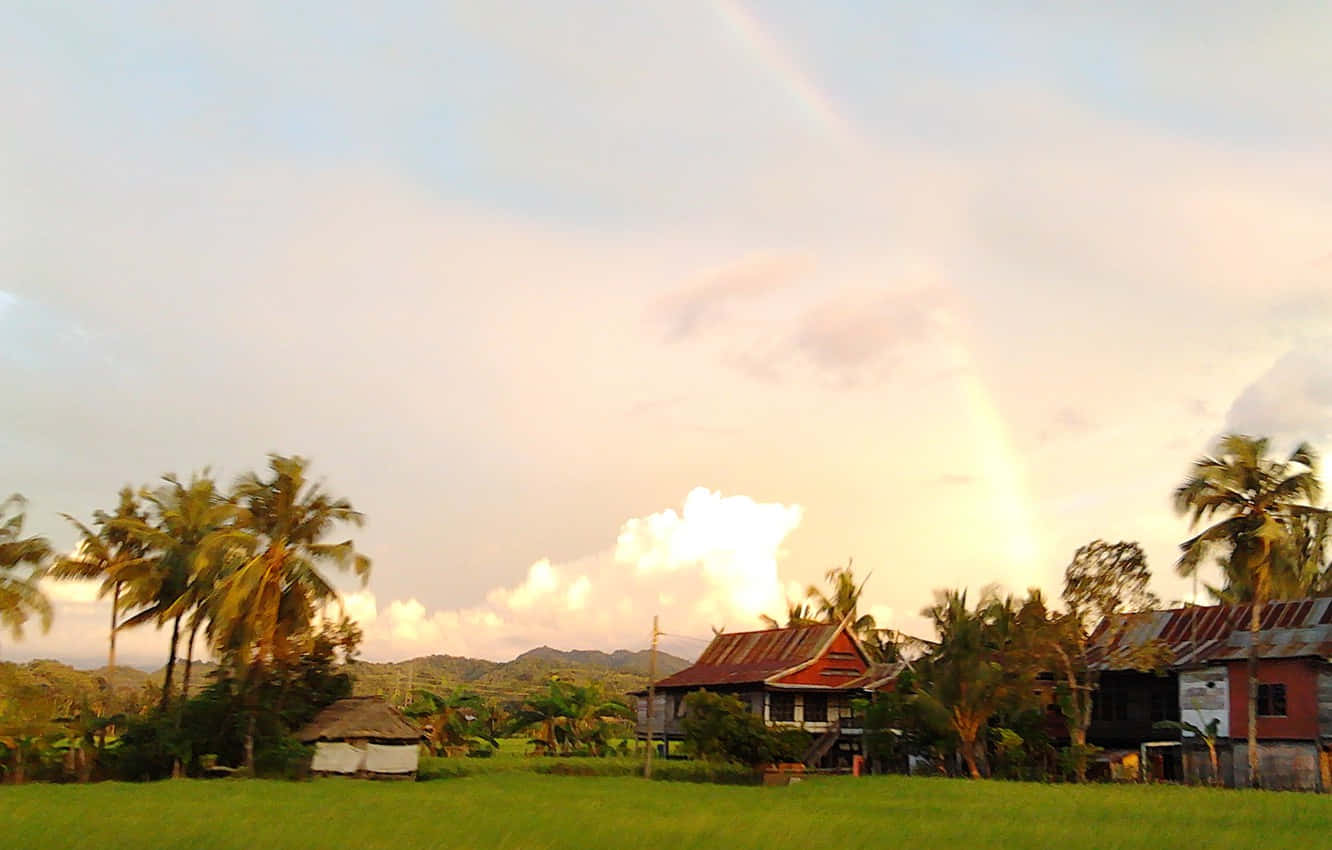 Sun Rising In Sulawesi Background