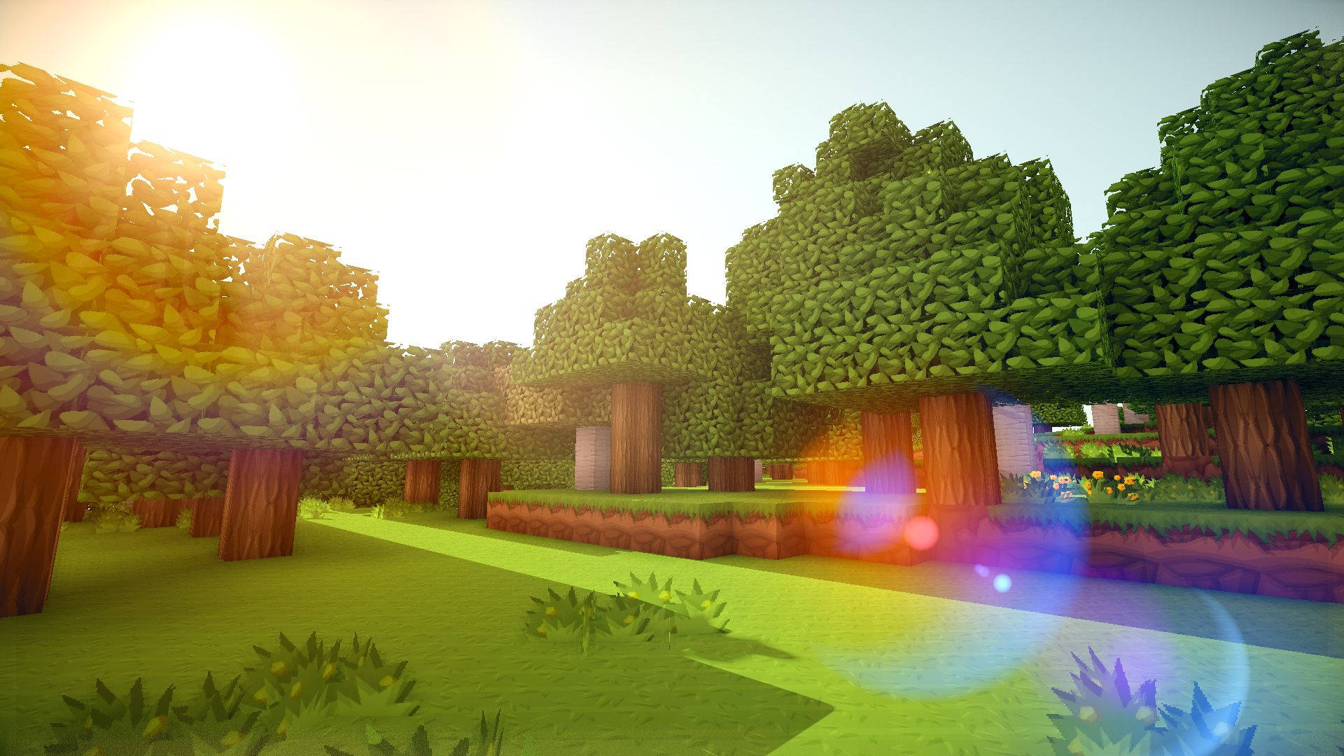 Sun Shining On Minecraft Landscape