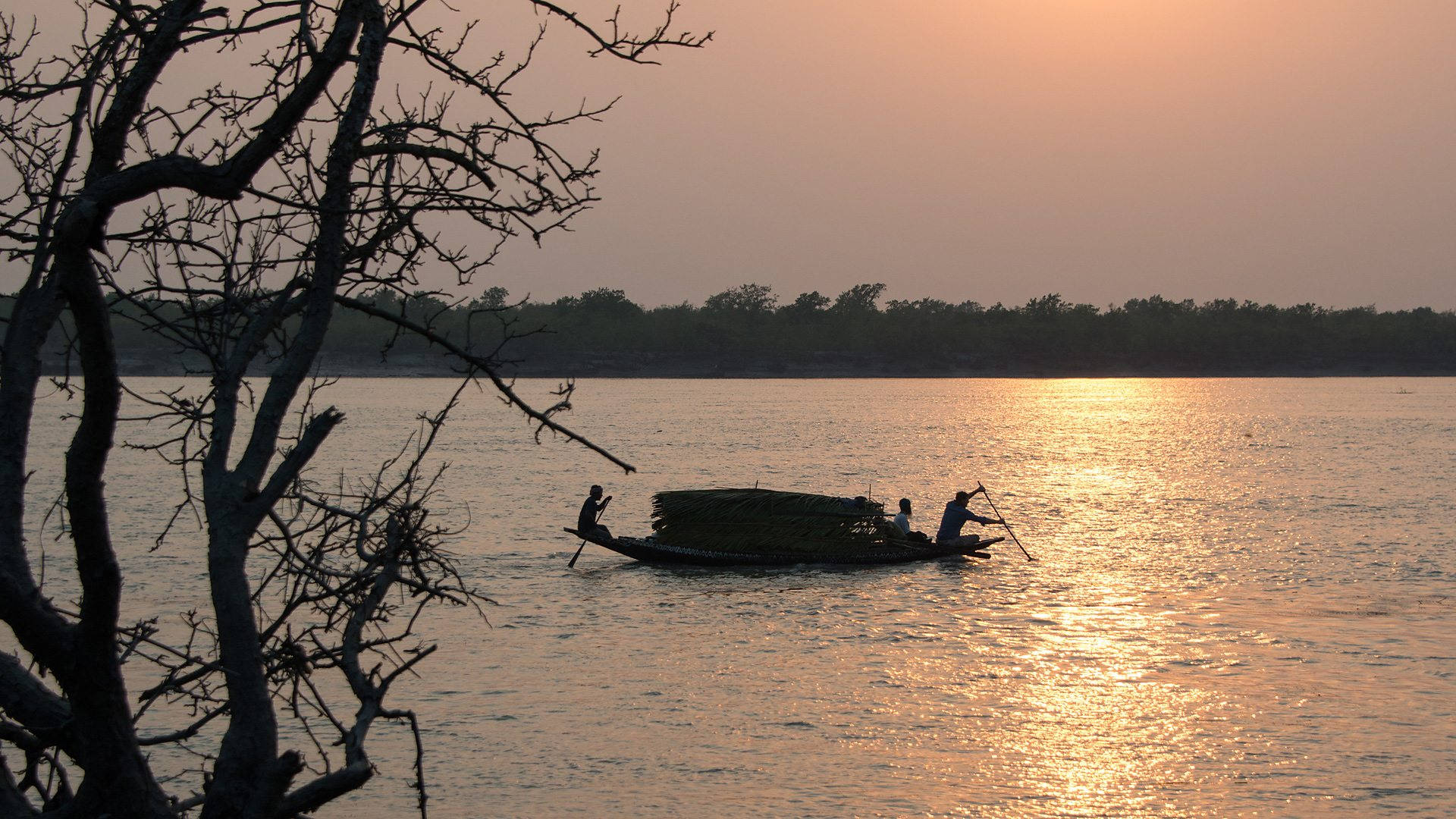 Sundarbans Bangladesh River Background