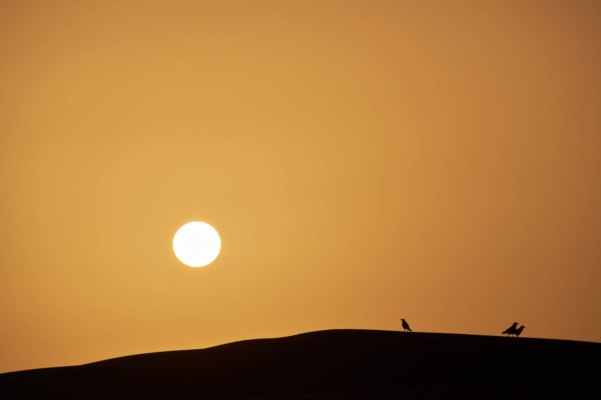 Sundown Over Sahara Background