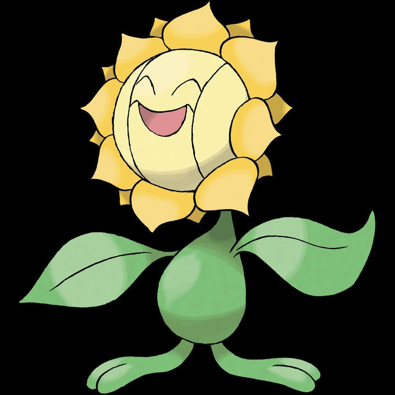 Sunflora On Black Background Background