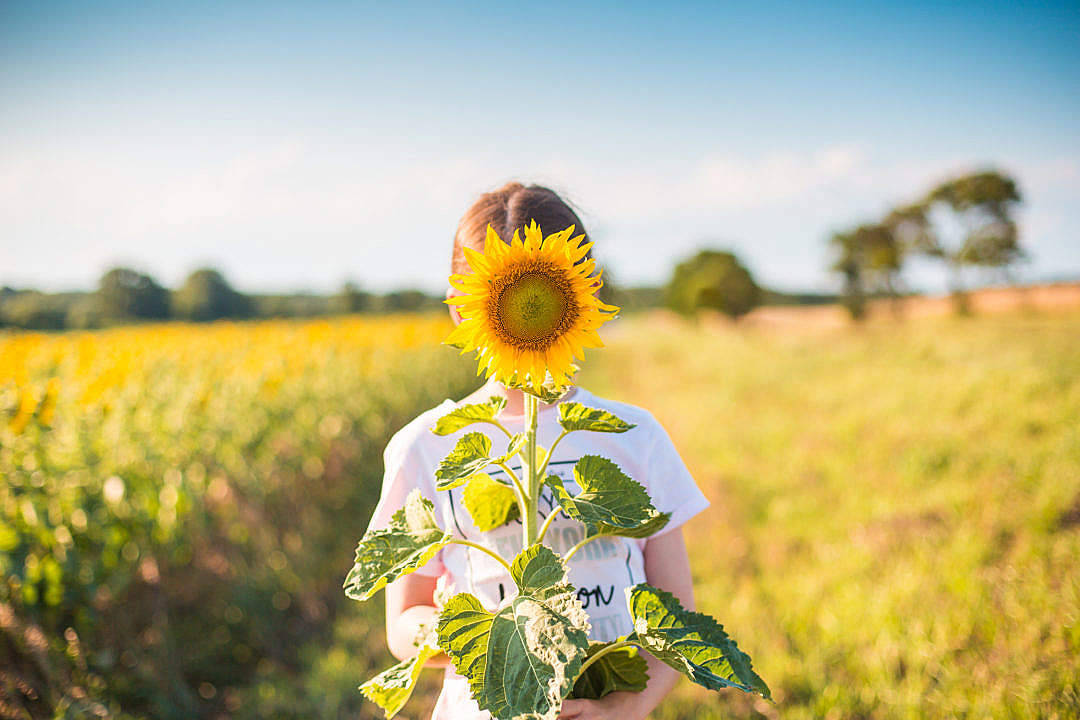 Sunflower Aesthetic Girl In The Farm