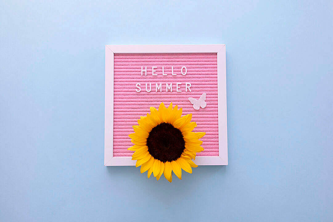 Sunflower Aesthetic Pink Frame Background